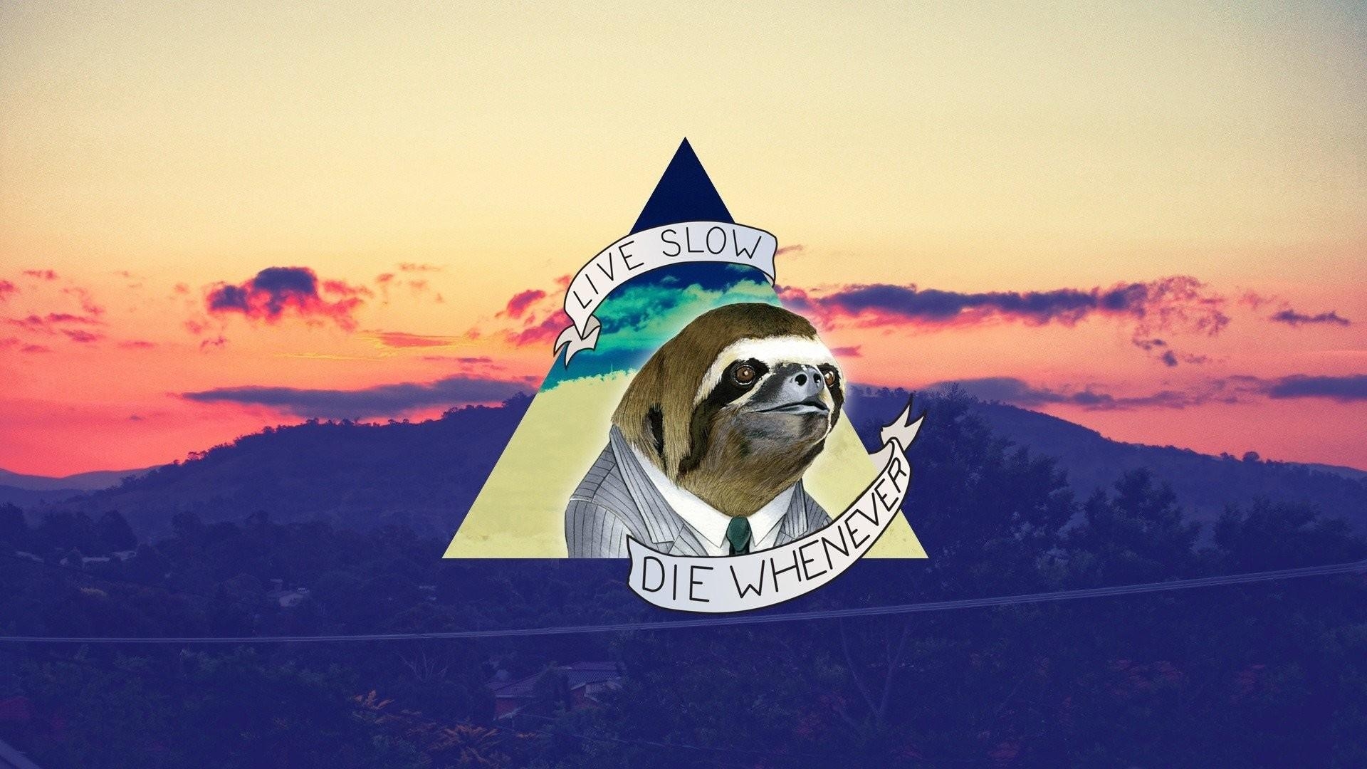 1920x1080 Sloth Wallpaper Free Sloth Background, Desktop