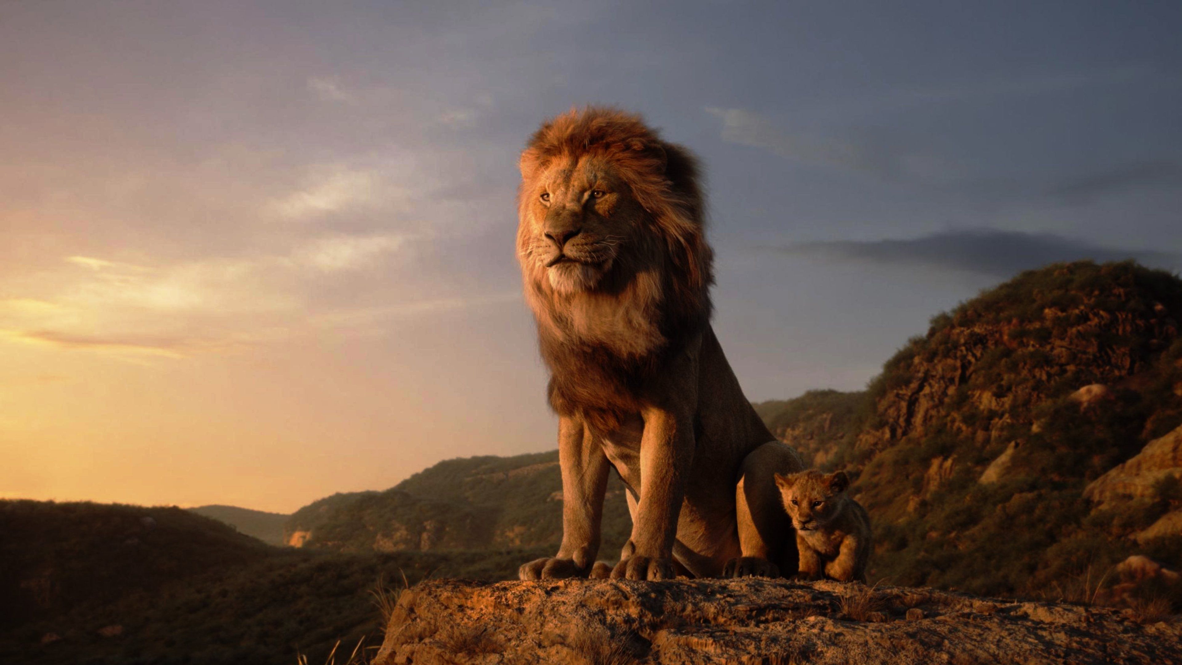 3840x2160 Ultra HD Lion King 4k Wallpaper, Desktop