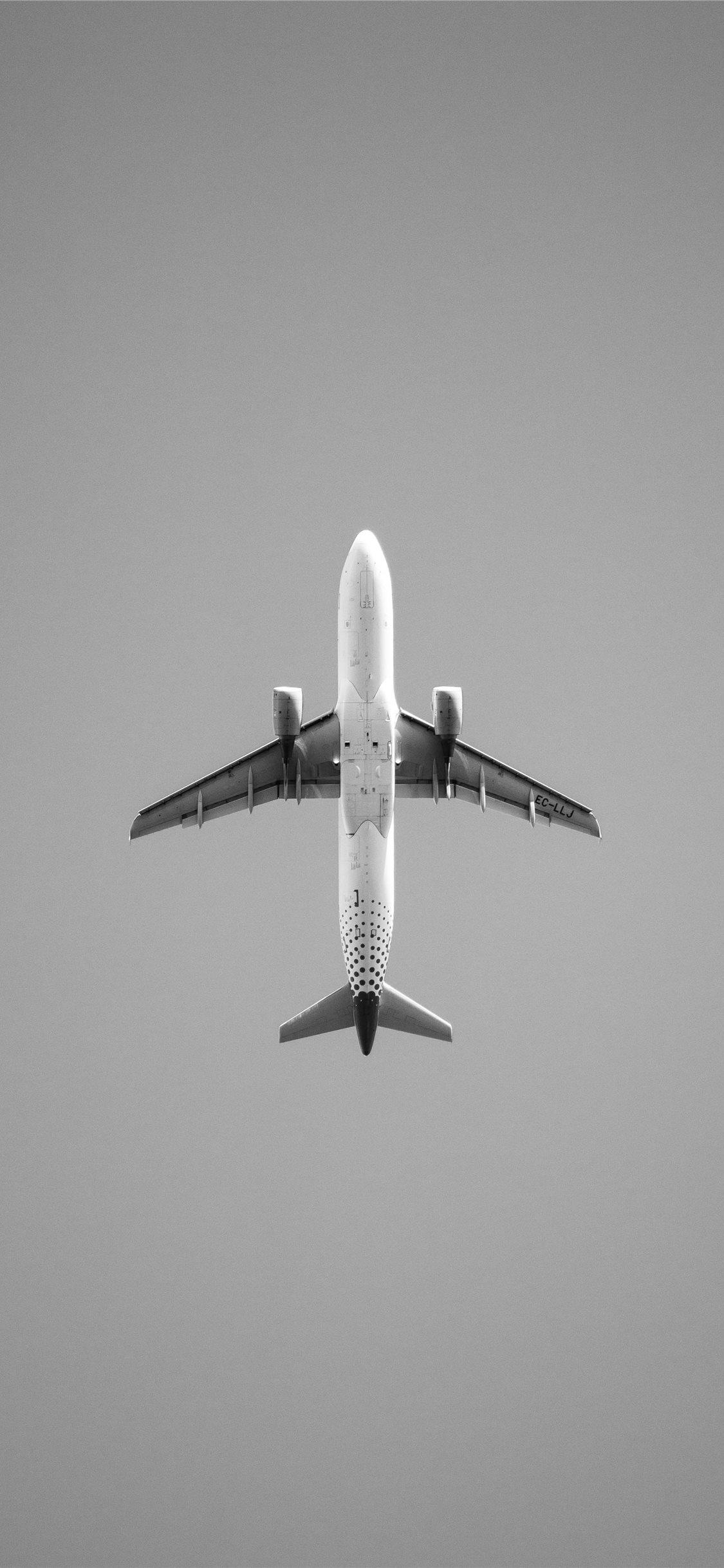 1130x2440 Just a plane iPhone X Wallpaper Free Download, Phone