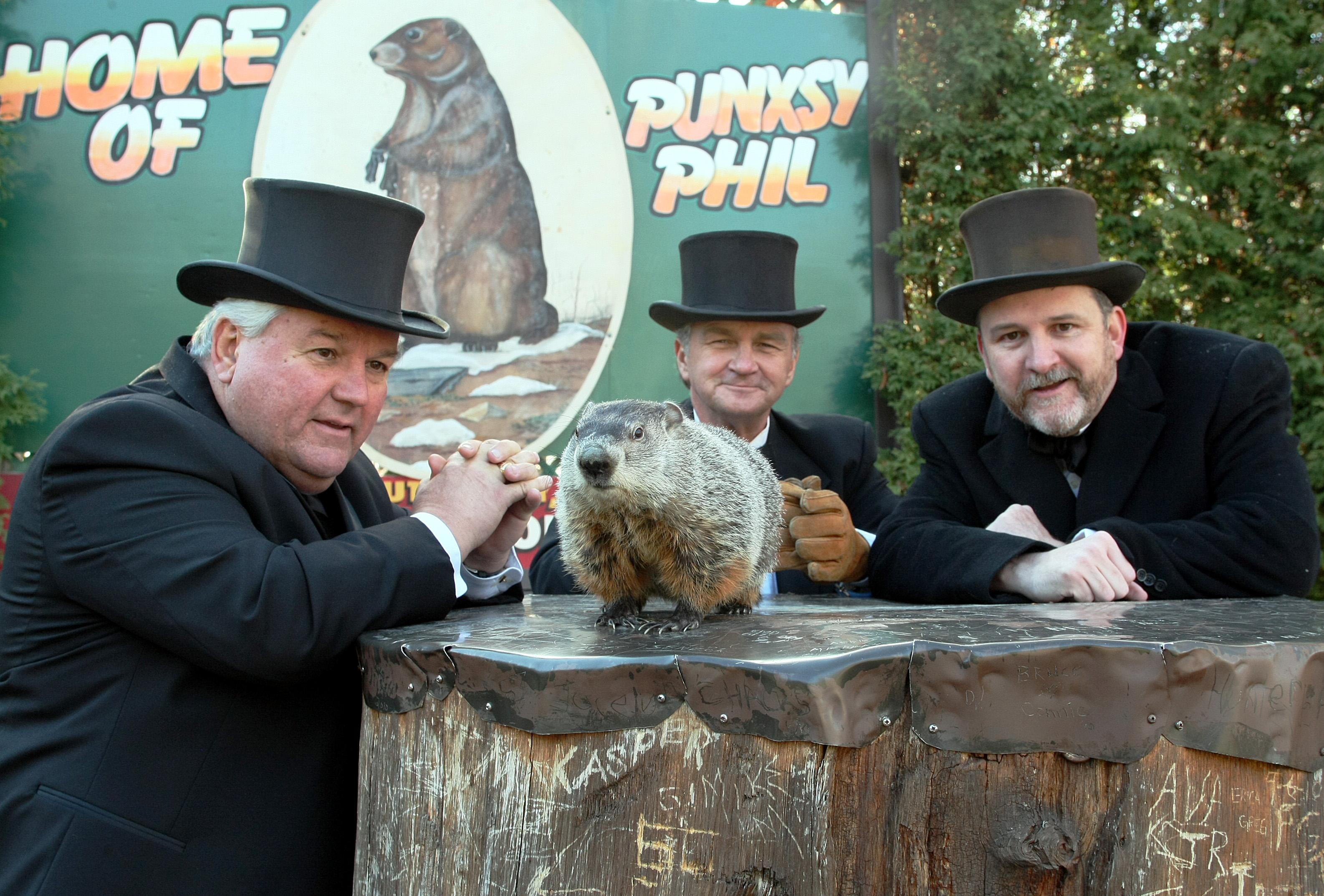 3180x2150 Three Rodents Prognosticate on Groundhog Day, Desktop