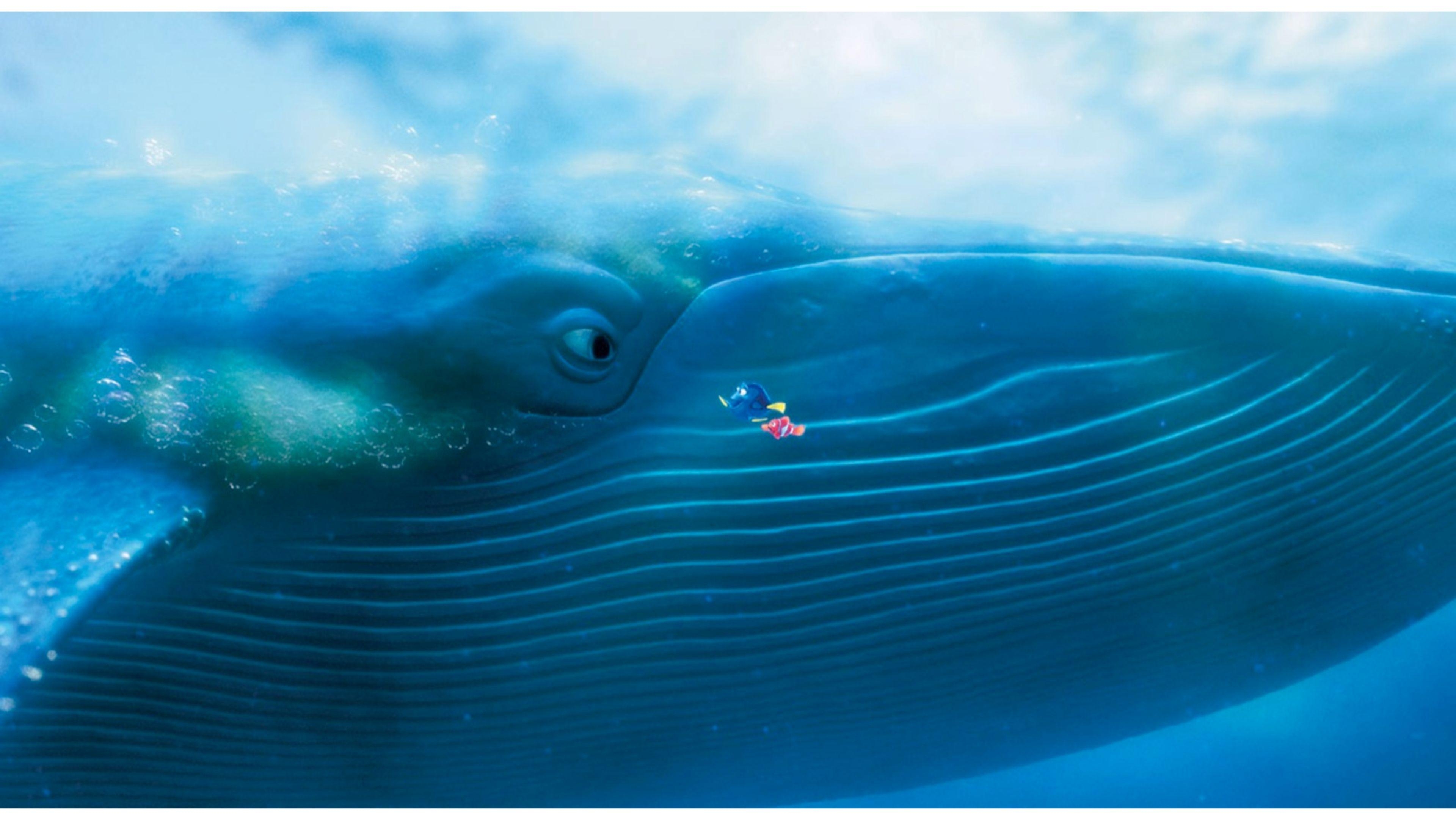 3840x2160 Finding Dory 2016 wallpaper, Desktop