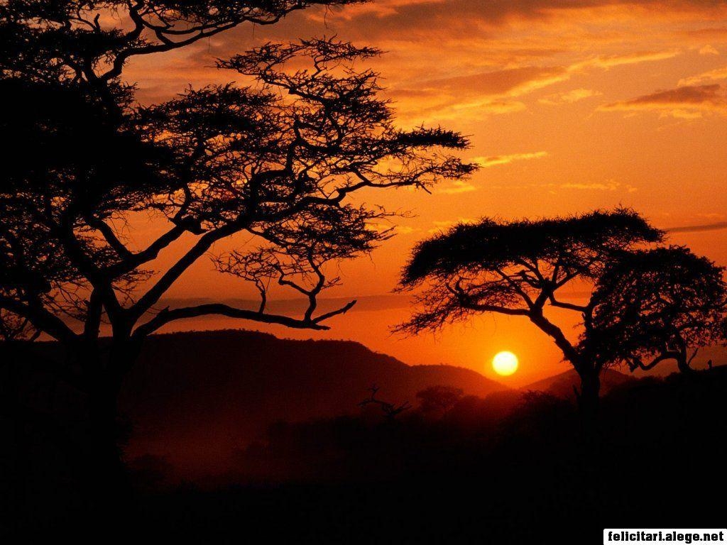 1030x770 free wallpaper Serengeti National Park Sunset Tanzania 1024 x 768, Desktop