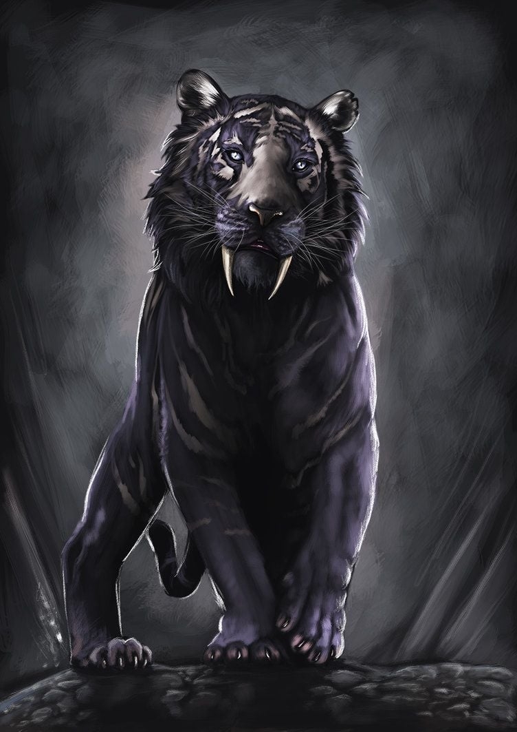 760x1070 Black Tiger Wallpaper, Phone