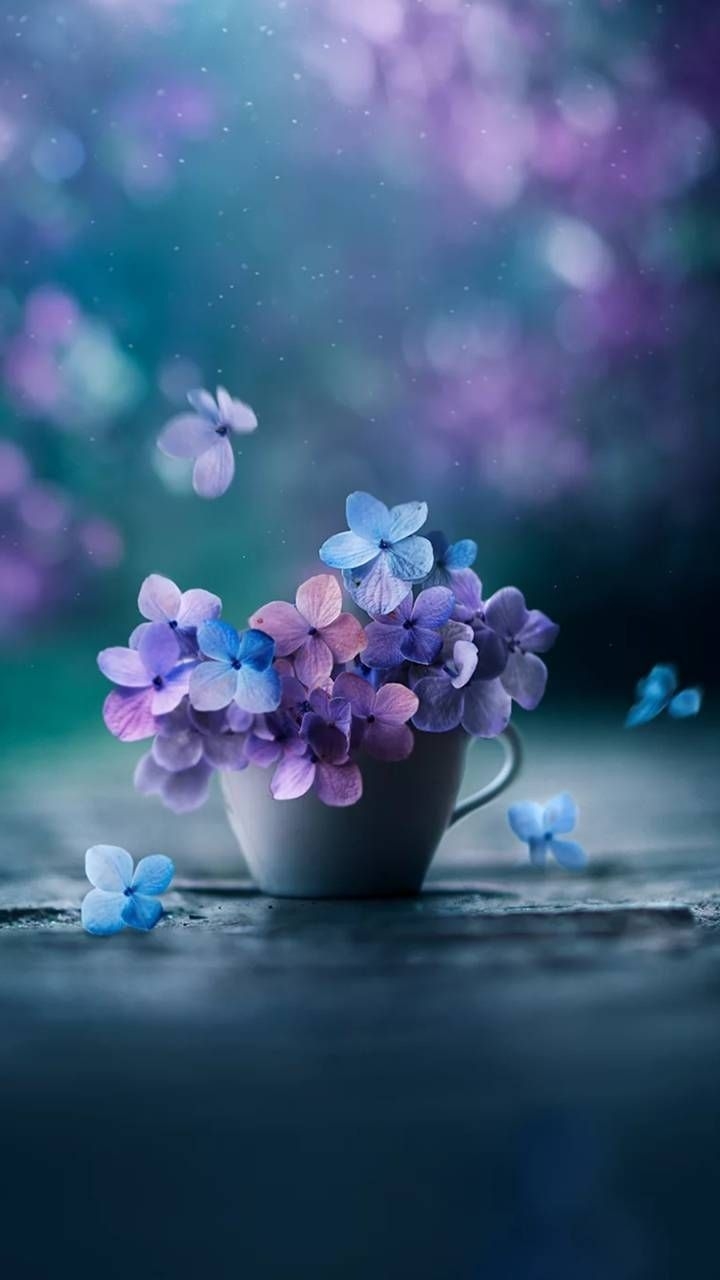 720x1280 Flower wallpaper. Blue flower wallpaper, Flower iphone wallpaper, Pink flowers wallpaper, Phone