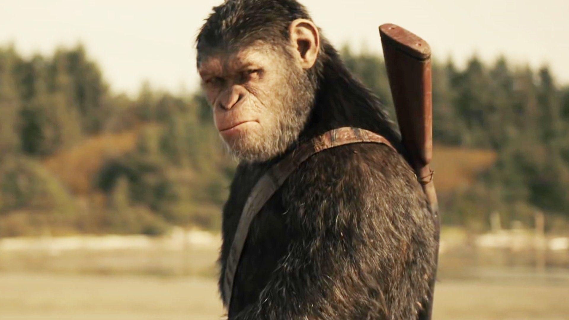 1920x1080 War For The Planet Of The Apes Caesar Wallpaper 11828, Desktop