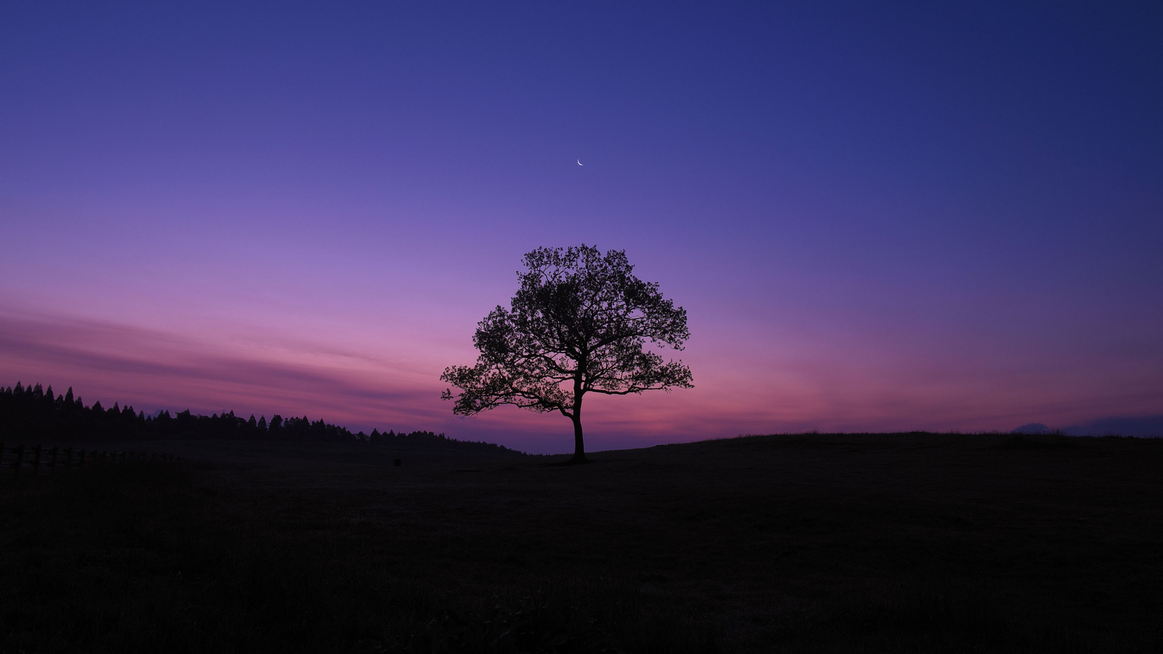 3840x2160 Dark Sky Tree Purple Sky Nature 4K Wallpaper, HD Nature 4K Wallpaper, Image, Photo and Background Den. Purple sky, Dark skies, Wallpaper, Desktop