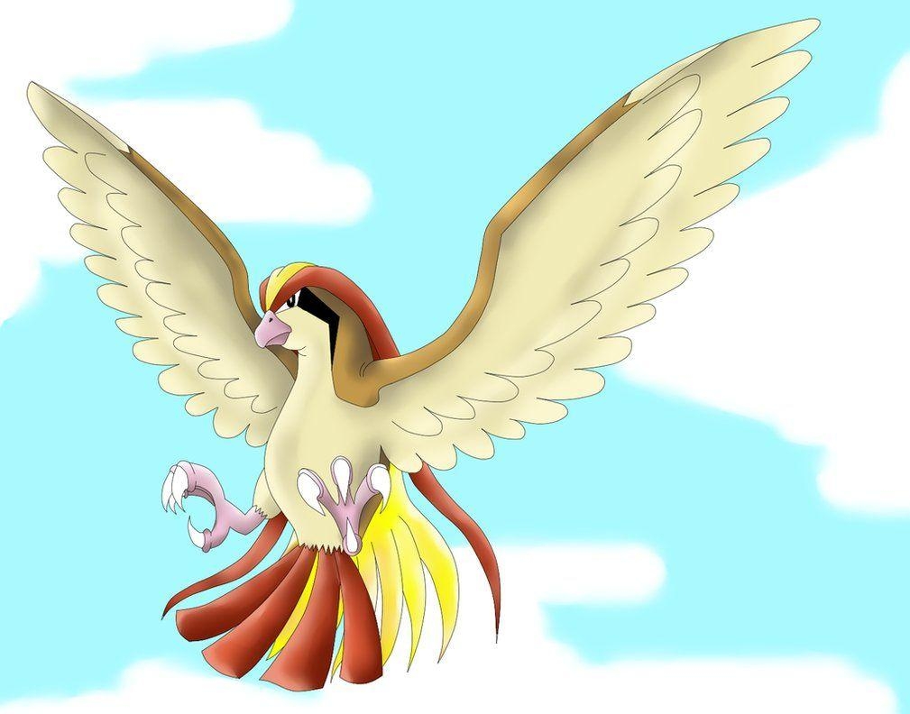 1010x800 Pidgeot preparing to attack, Desktop