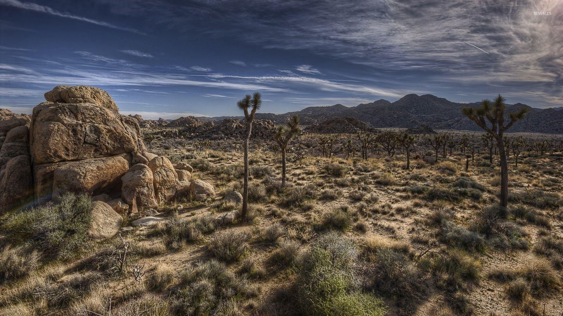 1920x1080 Joshua Tree National Park [5] wallpaper wallpaper, Desktop