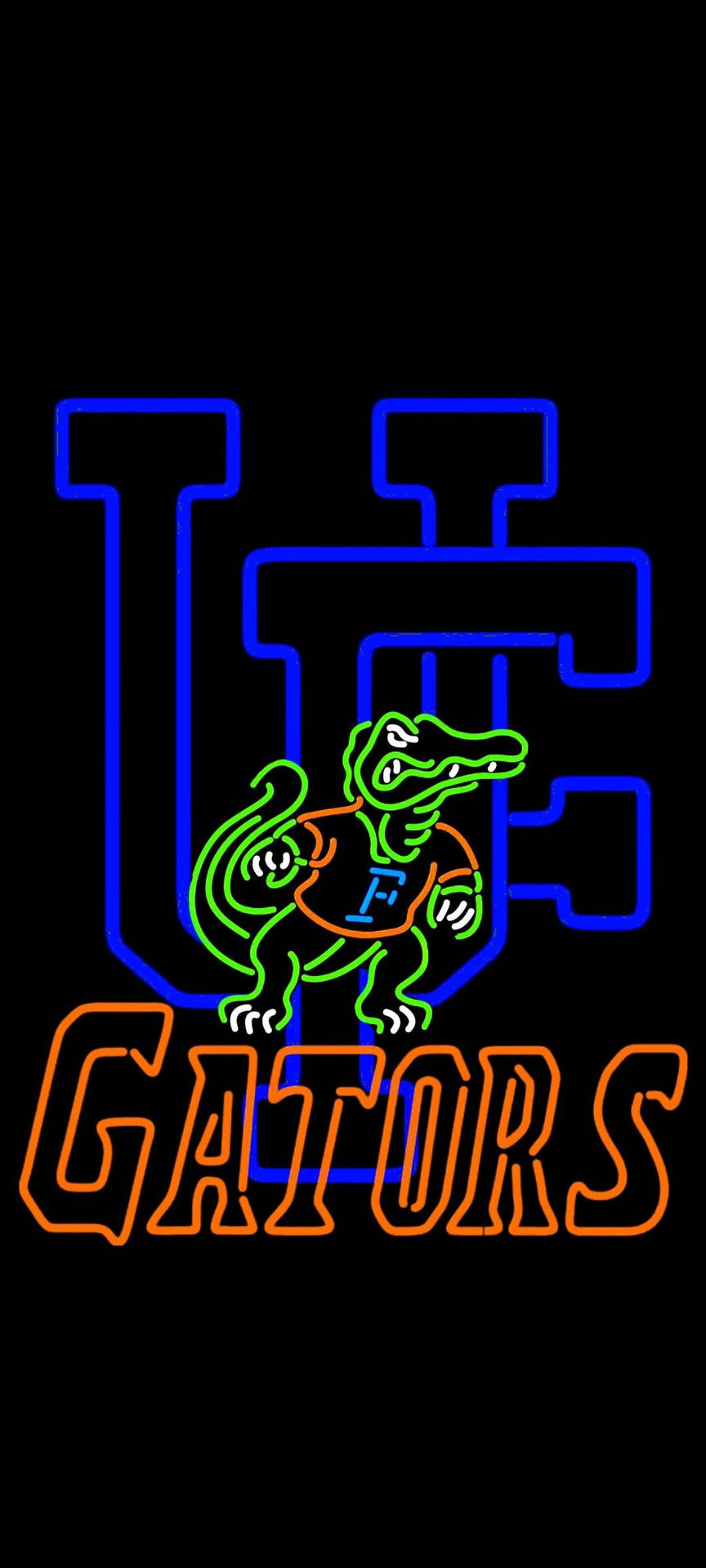 870x1920 Florida Gators Wallpaper, Phone