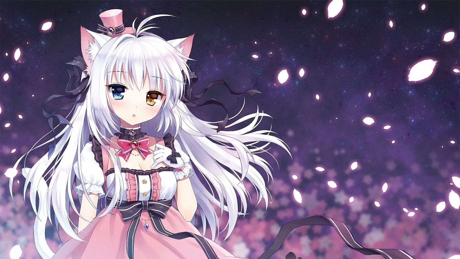 1920x1080 Wallpaper Cute Anime Cat Anime Catgirl HD Wallpaper Imagepace Cute Anime Black Cat Wallpaper Gmispace Com Anime Cat Wallp. Cute anime cat, Cat girl, Anime cat, Desktop