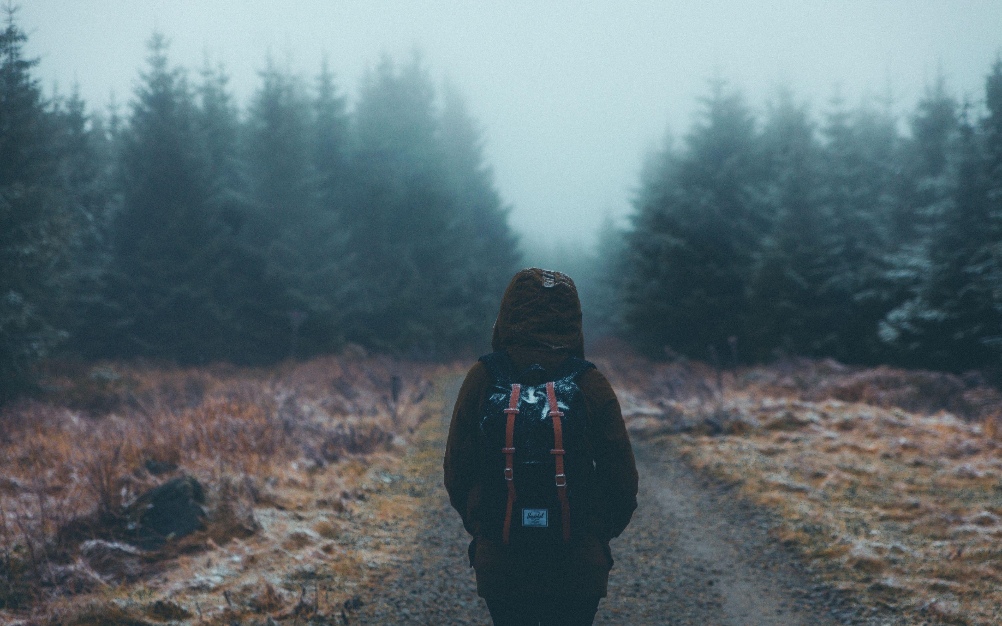 3840x2400 Download wallpaper  tourist, walk, backpack, forest, fog 4k, Desktop