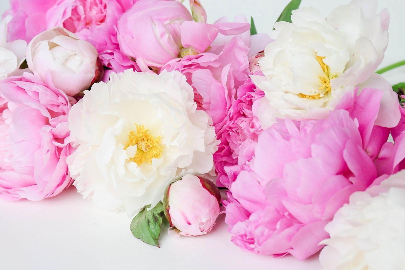 1400x940 ProperPrintables \ Colorful Peonies Wallpaper Download, Desktop