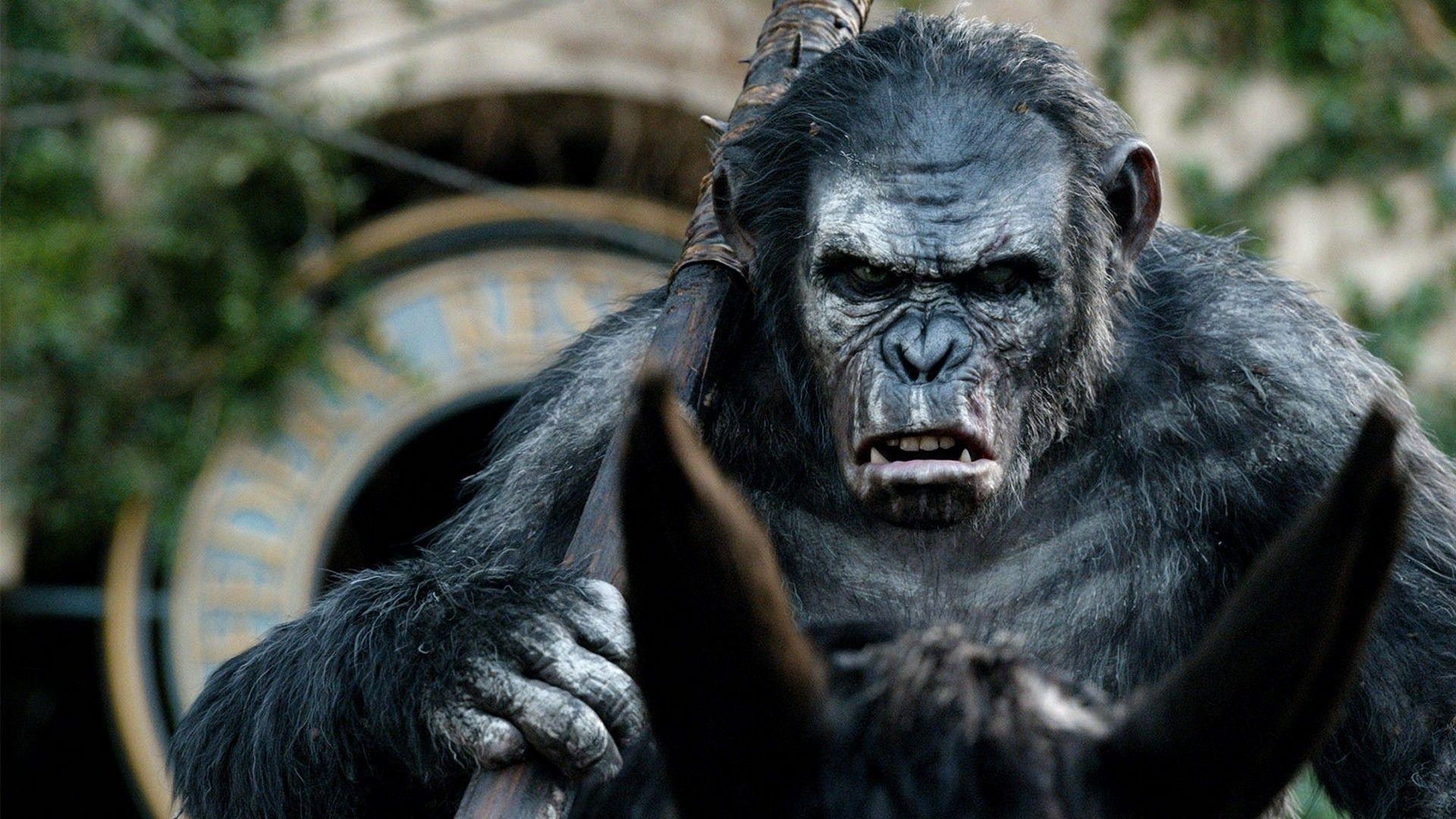 1920x1080 Dawn Of The Planet Of The Apes Maurice, Desktop