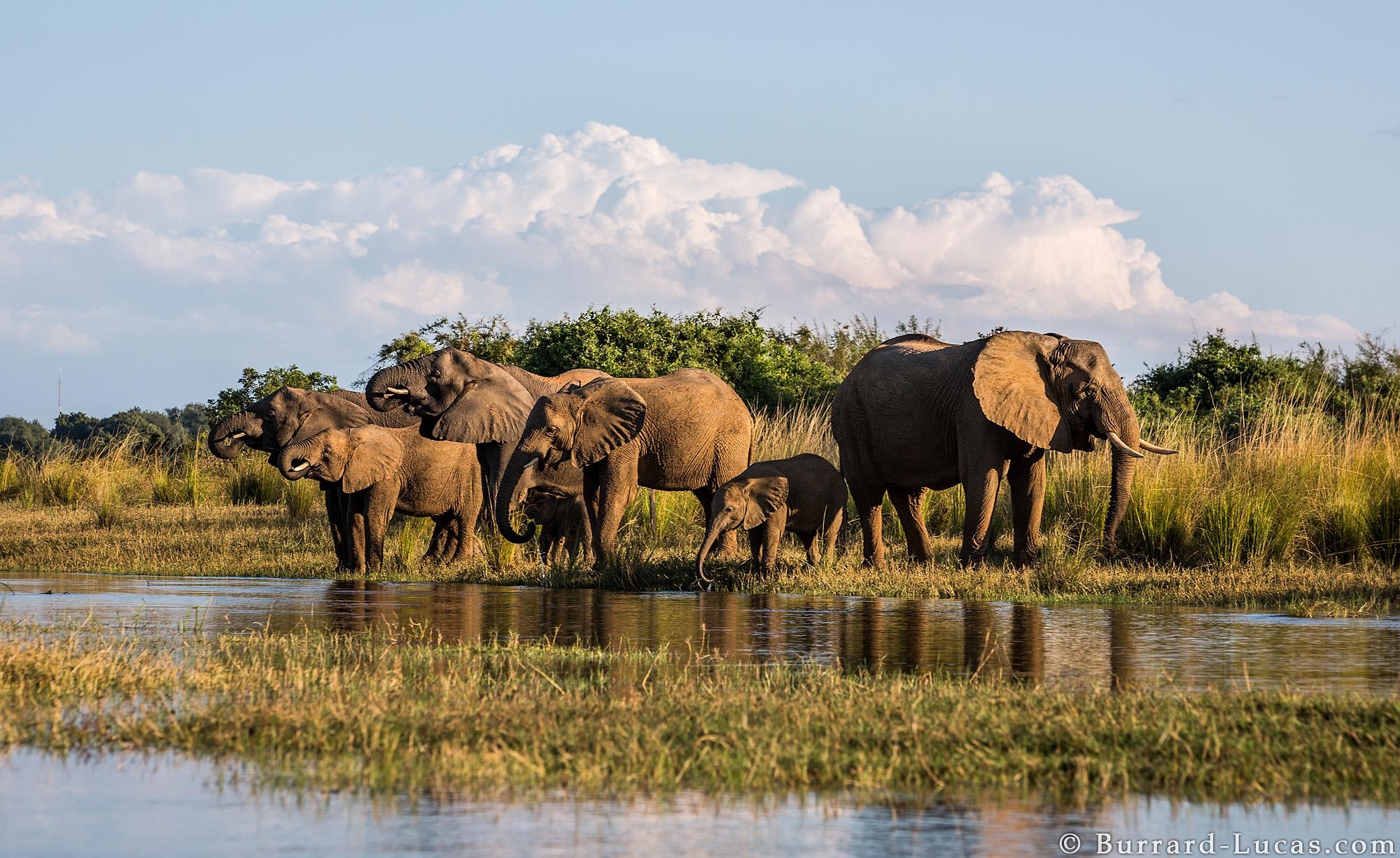 2000x1230 lower_zambezi_national_park Africa Safaris, Desktop