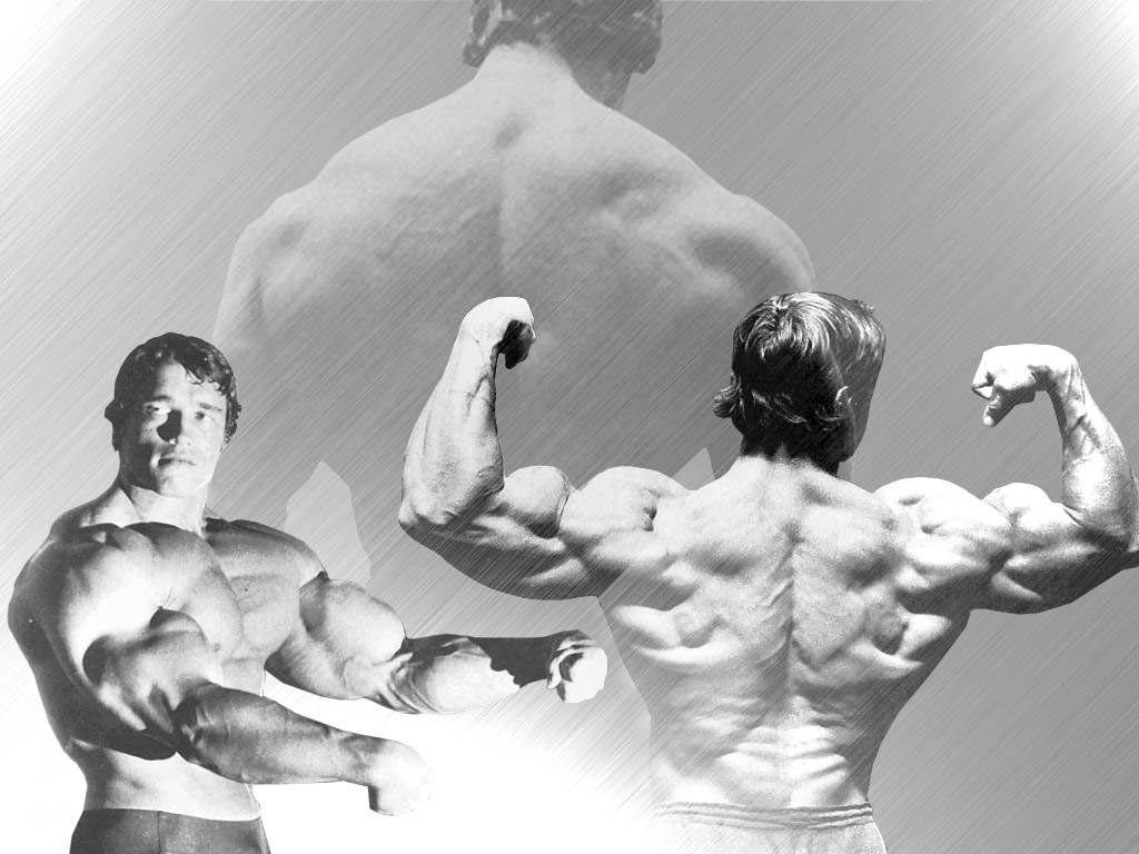 1030x770 ARNOLD SCHWARZENEGGER Celebrity Wallpaper, Desktop