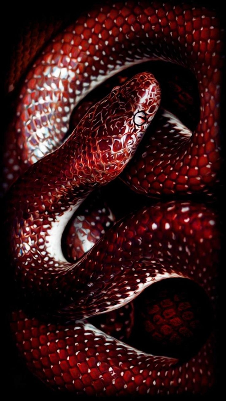 740x1310 Animal Wallpaper Wallpaper, iPhone Wallpaper. Snake wallpaper, Snake, iPhone wallpaper, Phone