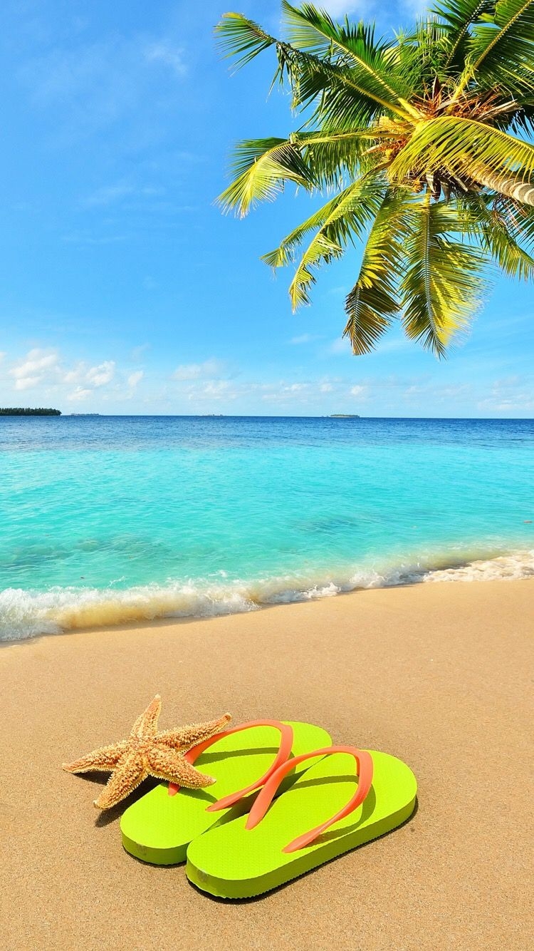 750x1340 Summer wallpaper. Beach wallpaper, Beautiful beaches, Scenery, Phone