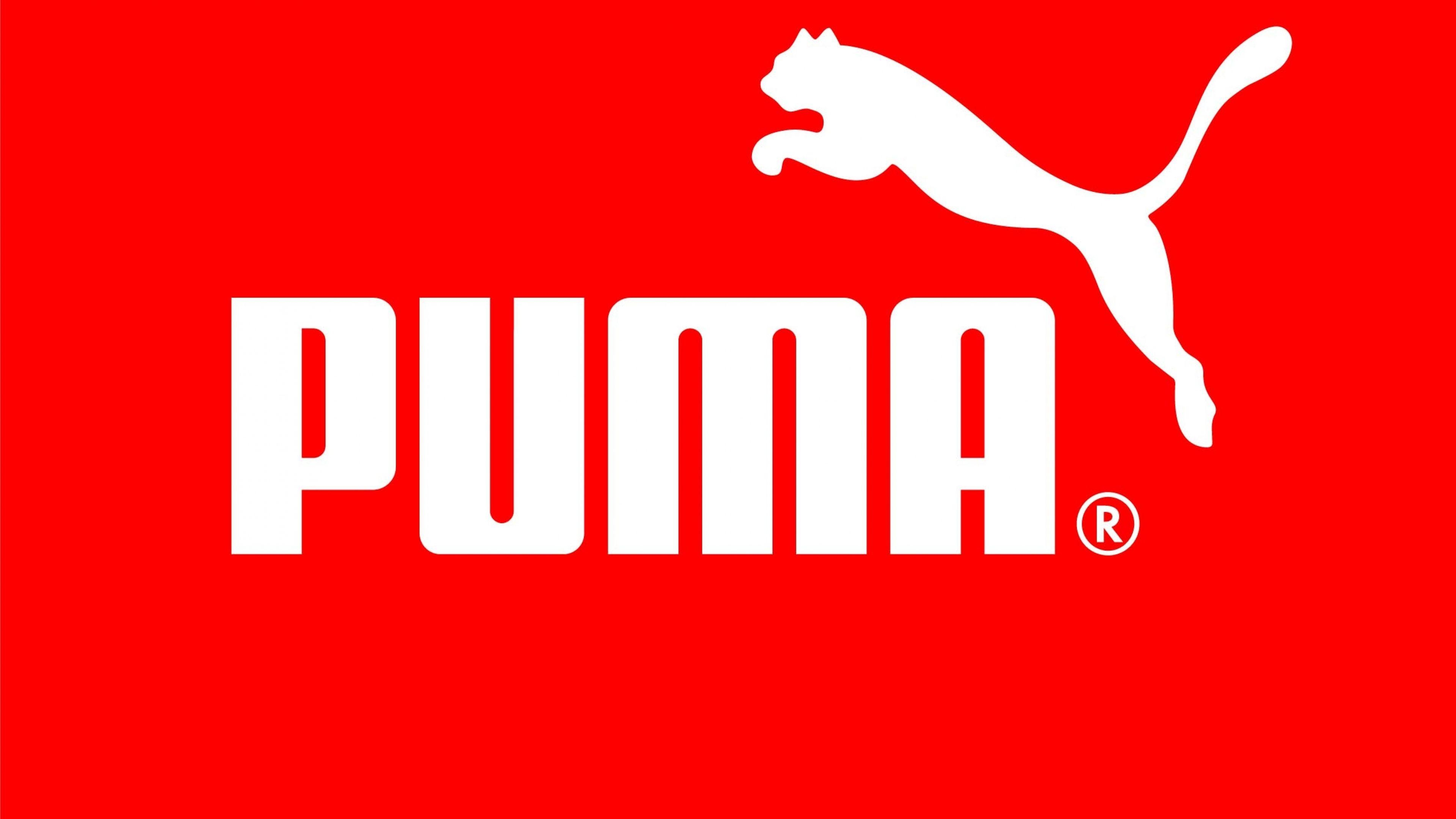 3840x2160 4K Ultra HD Puma Wallpaper HD, Desktop Background, Desktop