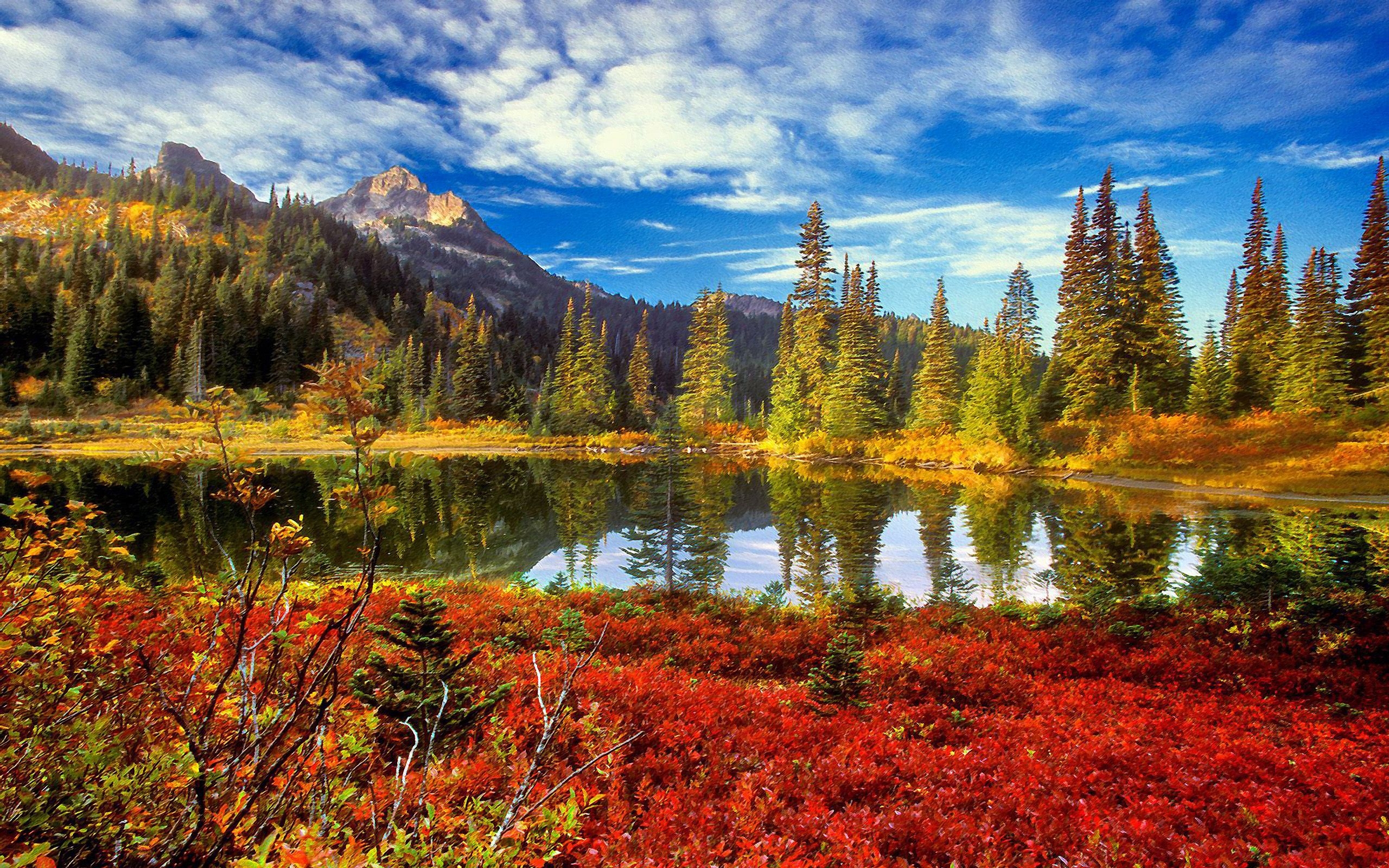 2560x1600 Tatoosh Wilderness Mount Rainier National Park Washington, Desktop