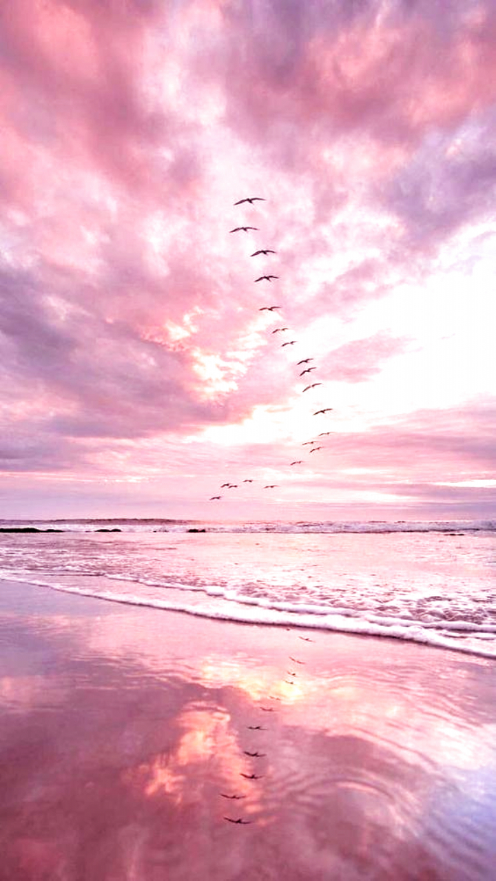 720x1280 Pink Beach Aesthetic Wallpaper Free Pink Beach Aesthetic Background, Phone