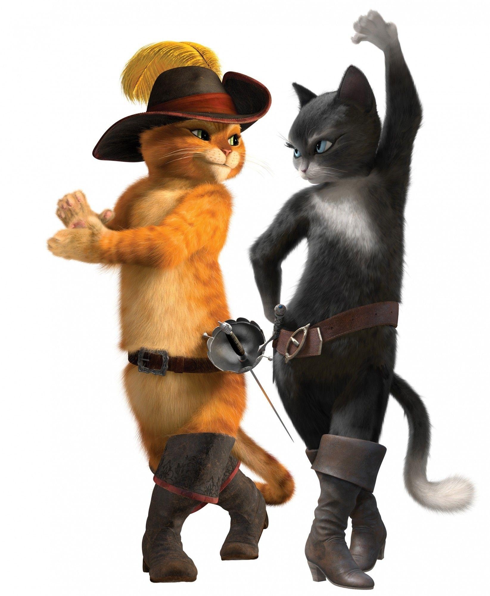 1650x2000 HD Puss In Boots Wallpaper and Photo. HD Cartoons Wallpaper, Phone