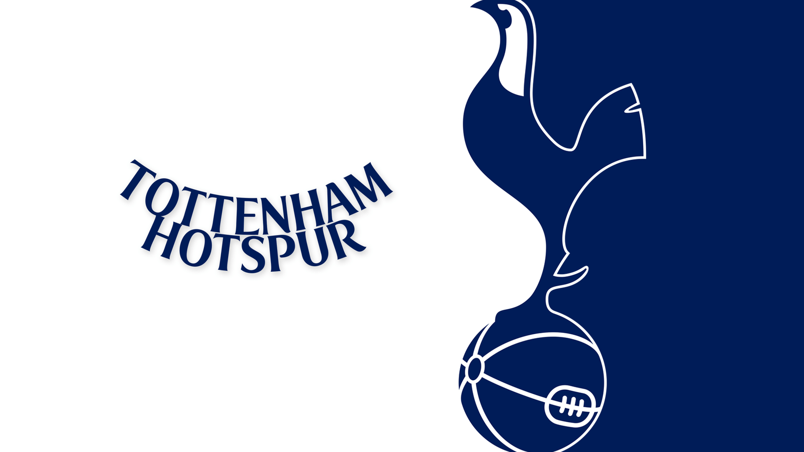 1600x900 Tottenham Hotspur FC, Desktop