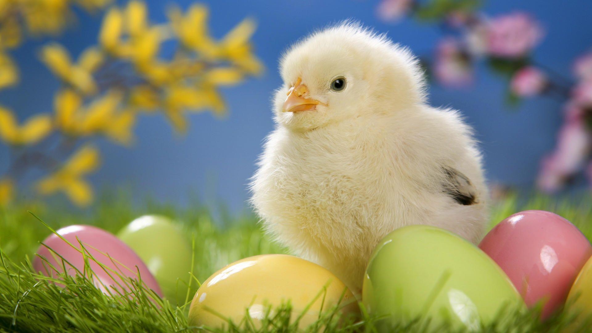 1920x1080 HD Easter Wallpaper, Desktop