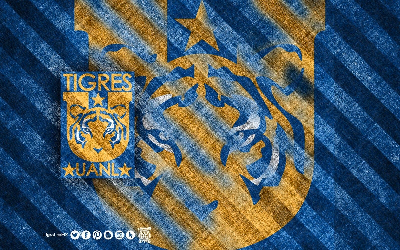 1600x1000 Tigres Fondos Uanl, Desktop