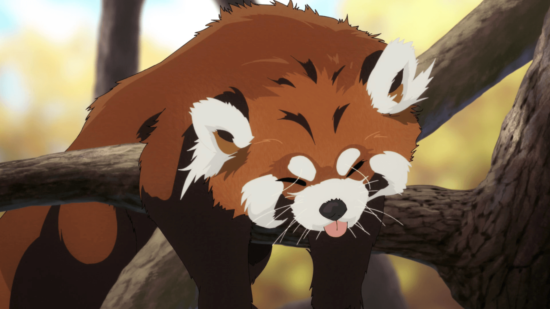 1920x1080 Red Panda Anime Wallpaper, Desktop