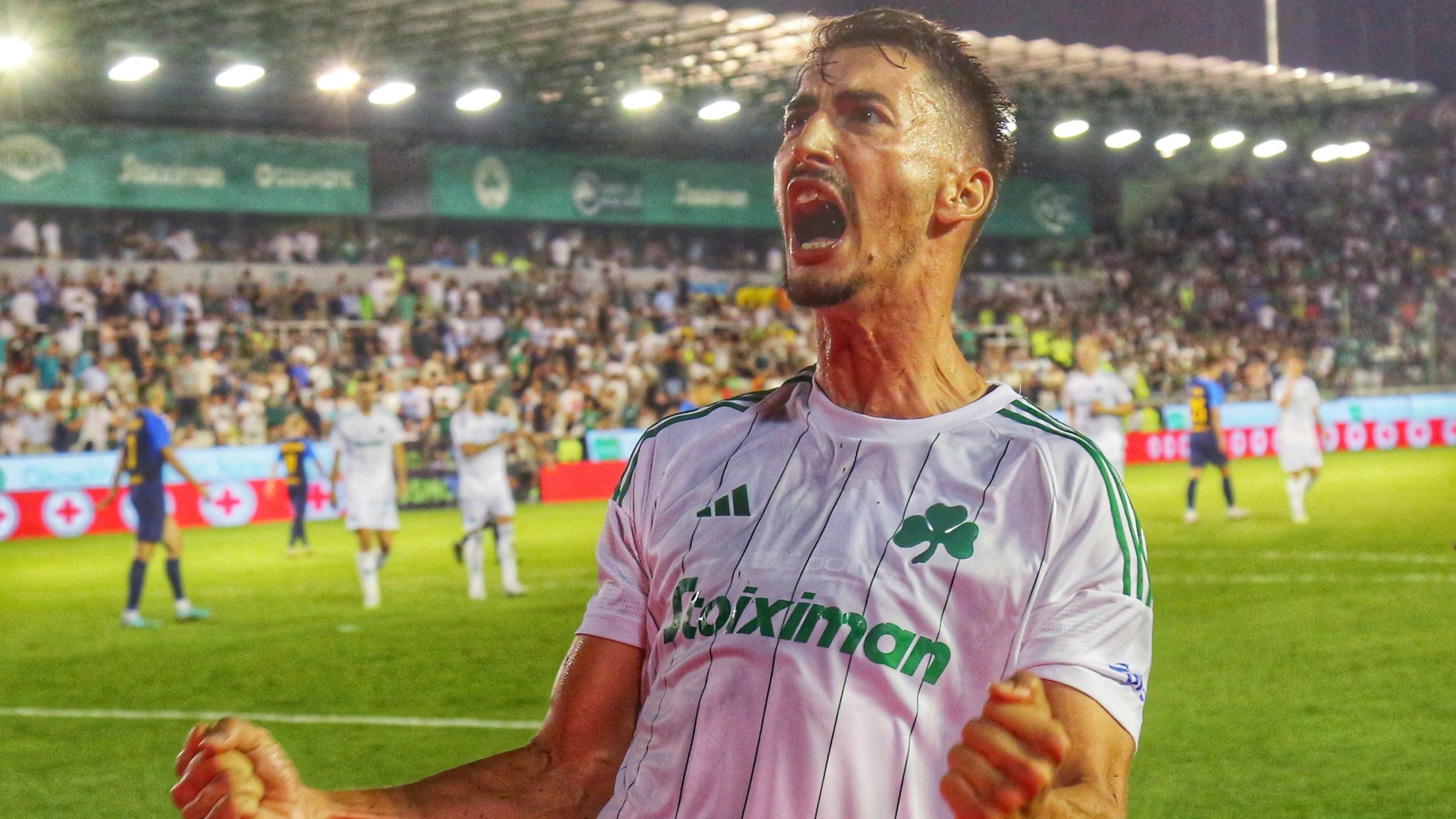 2560x1440 panathinaikos fc, Desktop