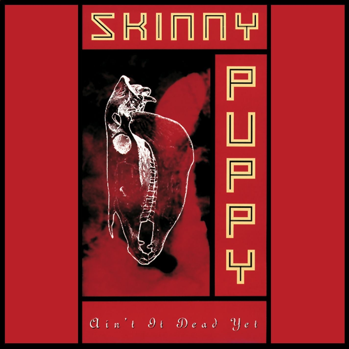 1430x1430 Watch Skinny Puppy: Ain't It Dead Yet, Phone