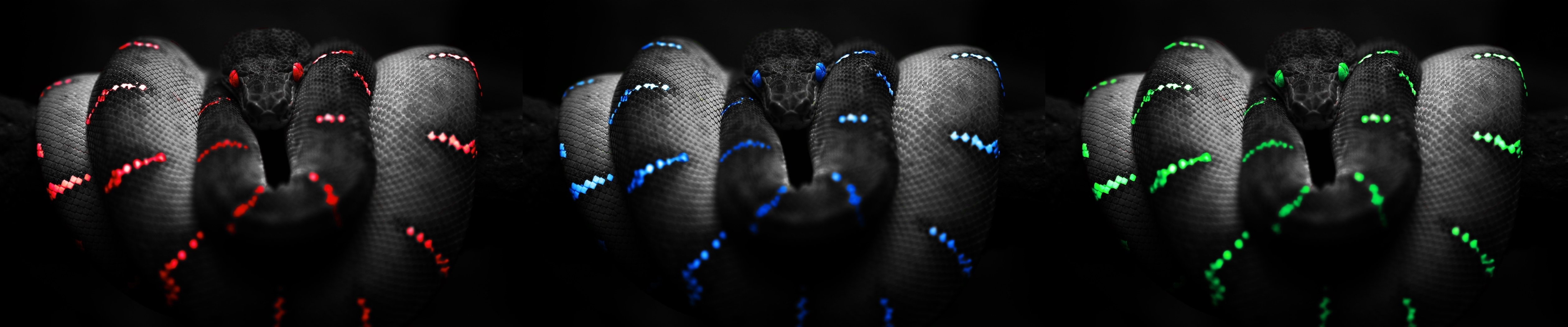 5040x1050 art rainbow of snakes   wallpaper High Quality, Dual Screen