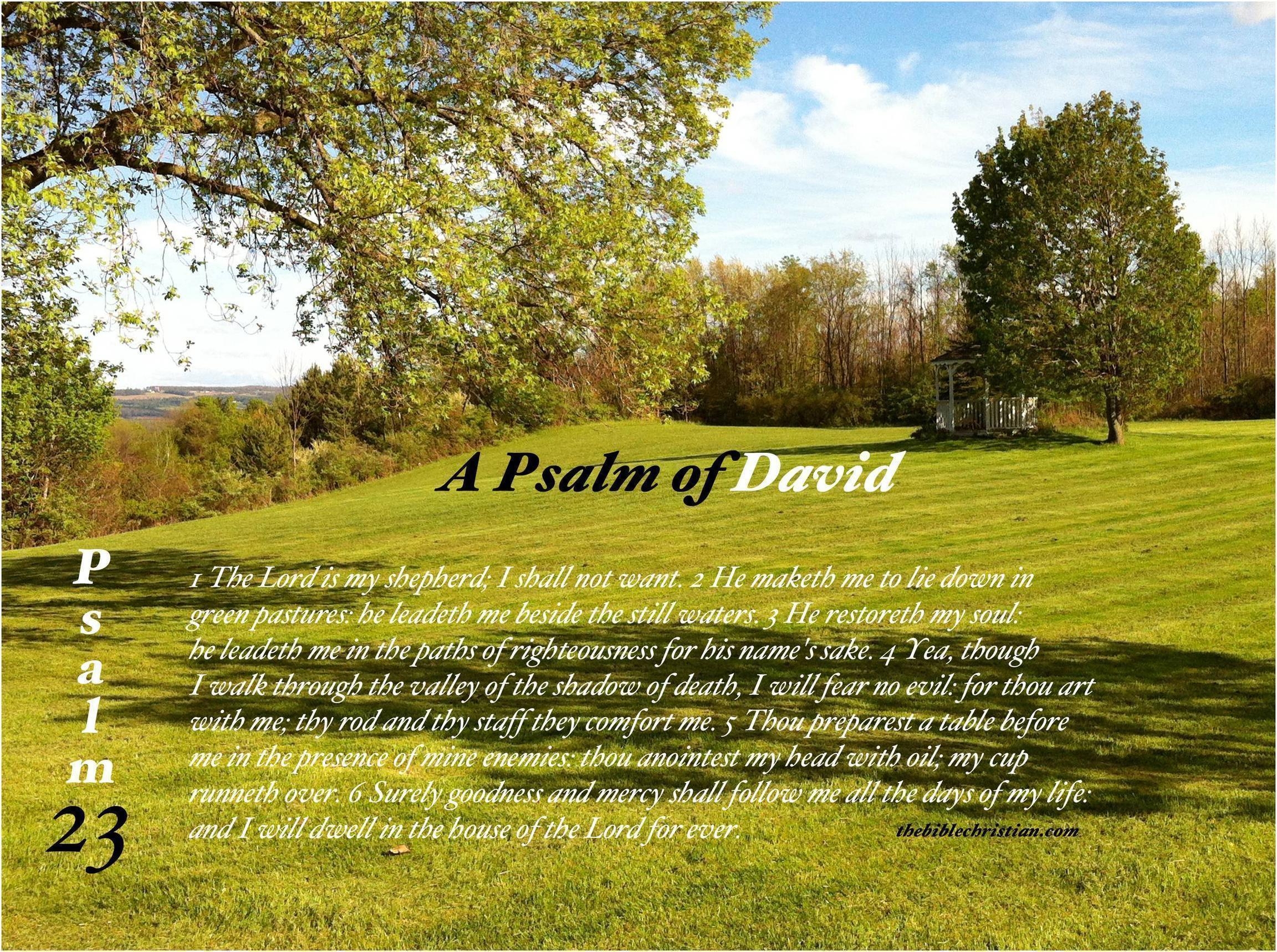 2310x1720 Psalm 23 Wallpaper Nice Wallpaper, Desktop