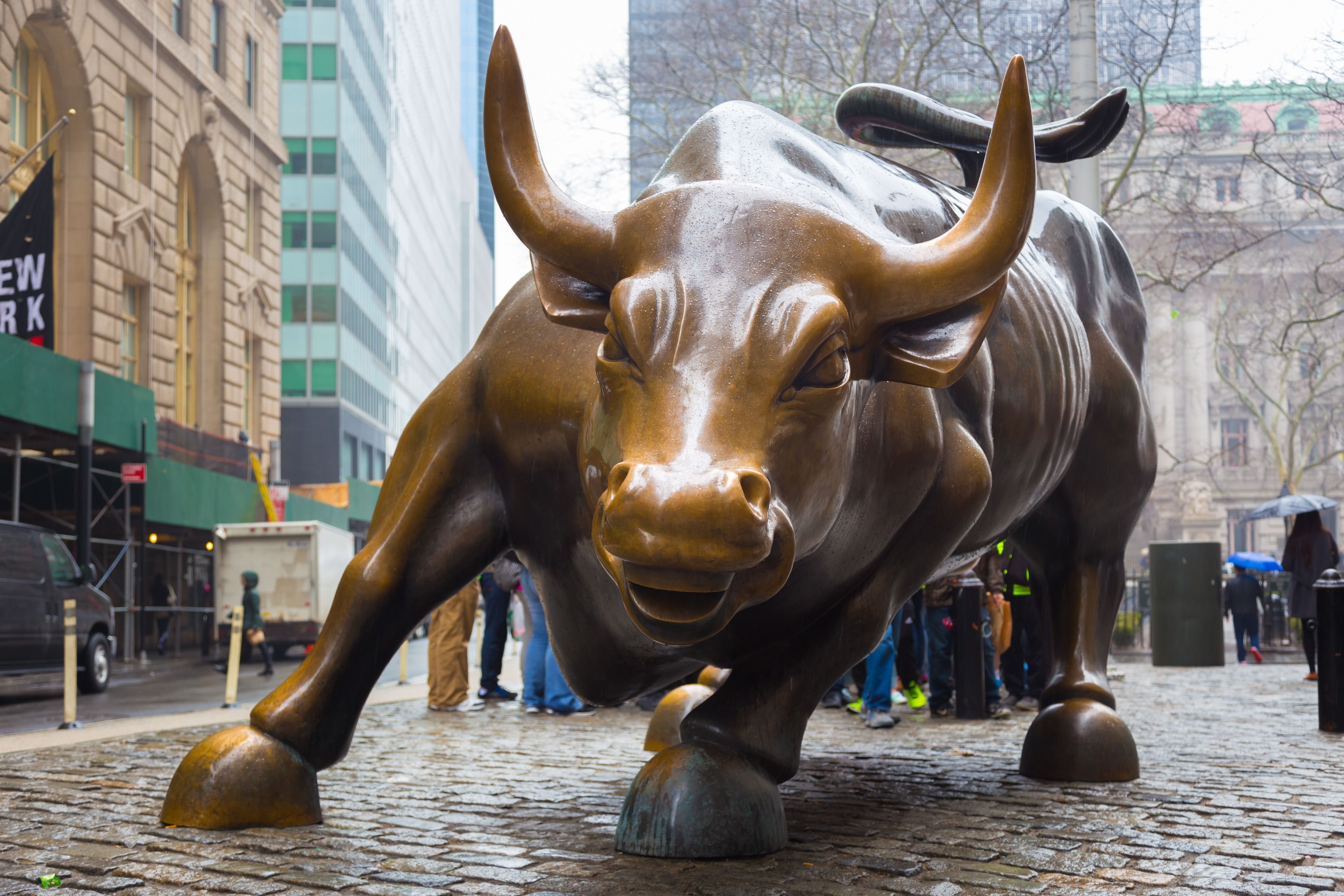 4500x3000 Wallpaper Charging Bull, Wall Street Bull, Bowling Green Bull, Desktop