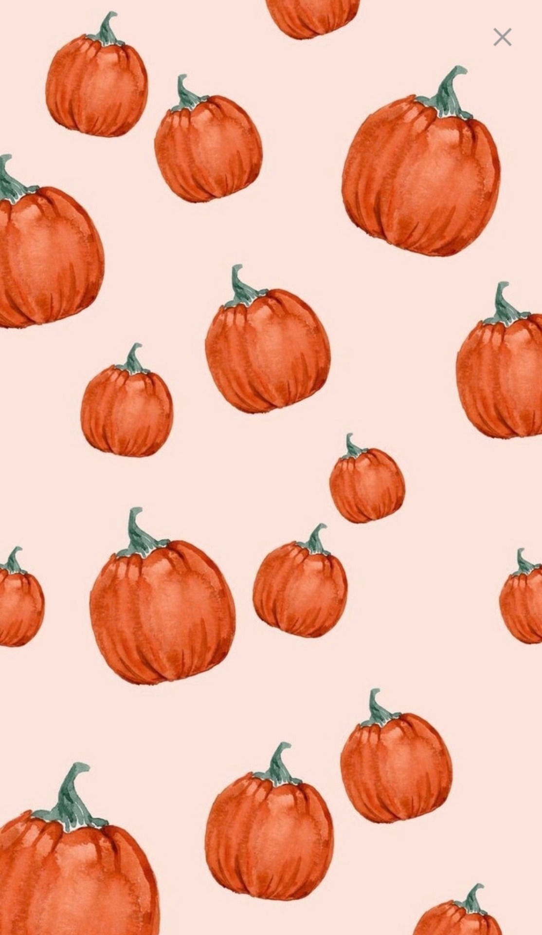 1120x1920 pumpkin wallpaper, Phone