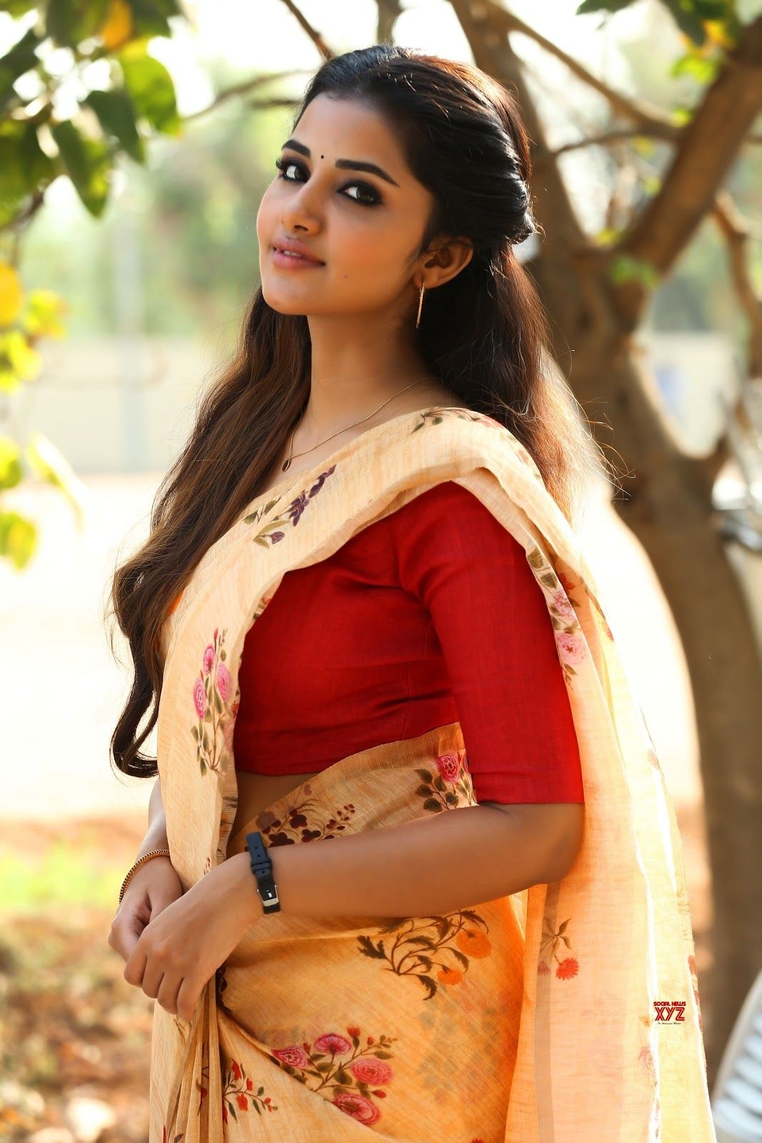 1070x1600 Anupama Parameswaran Saree, Phone