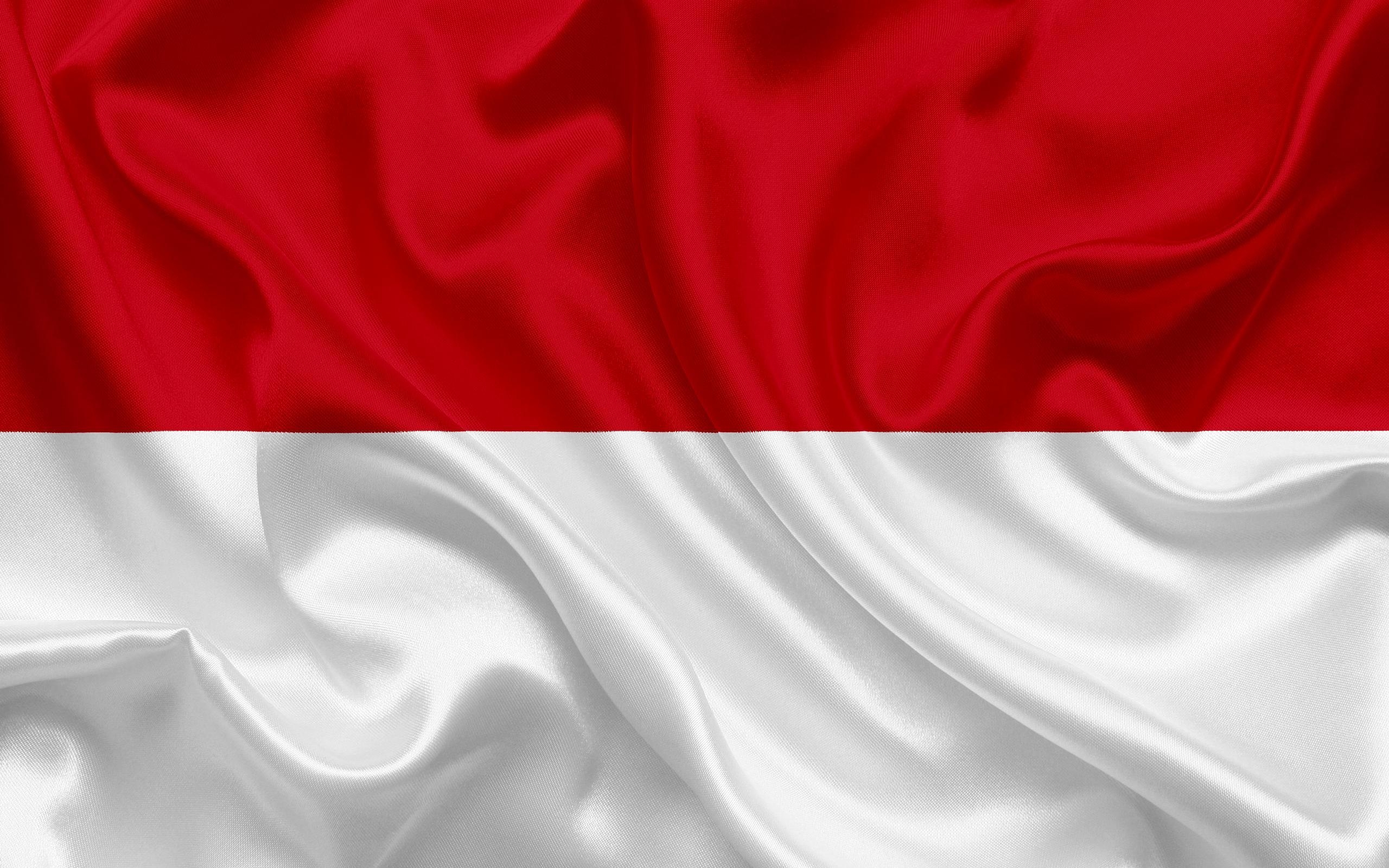 2560x1600 Download wallpaper flag of Monaco, Europe, silk flag, Monaco, Desktop