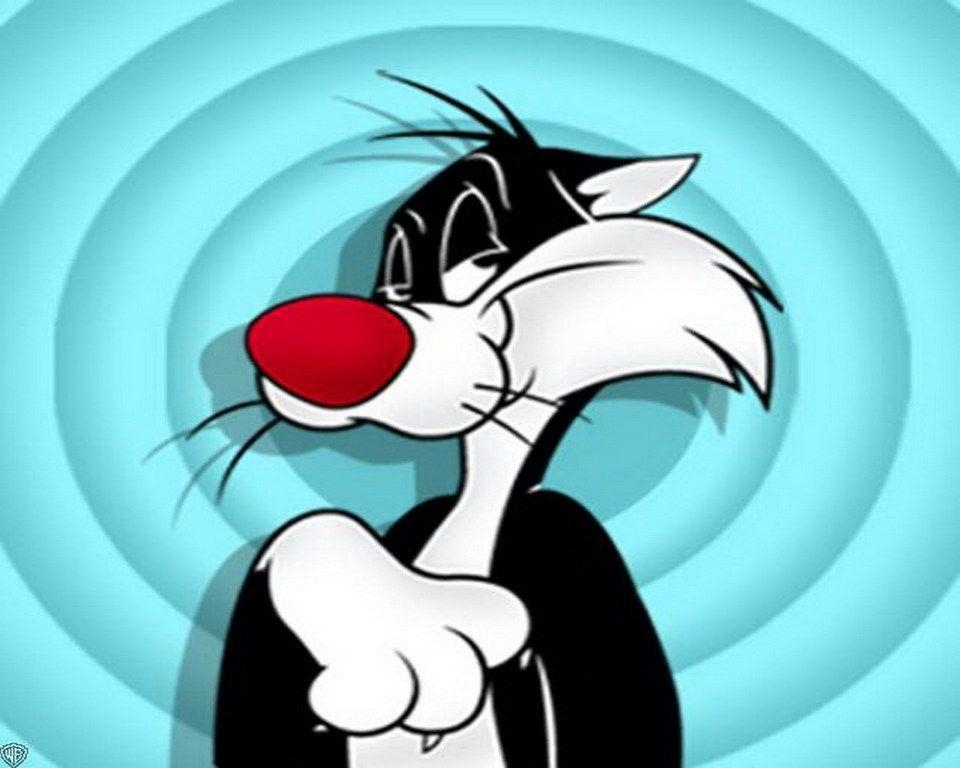 960x770 Looney Tunes Sylvester Character Wallpaper, Desktop