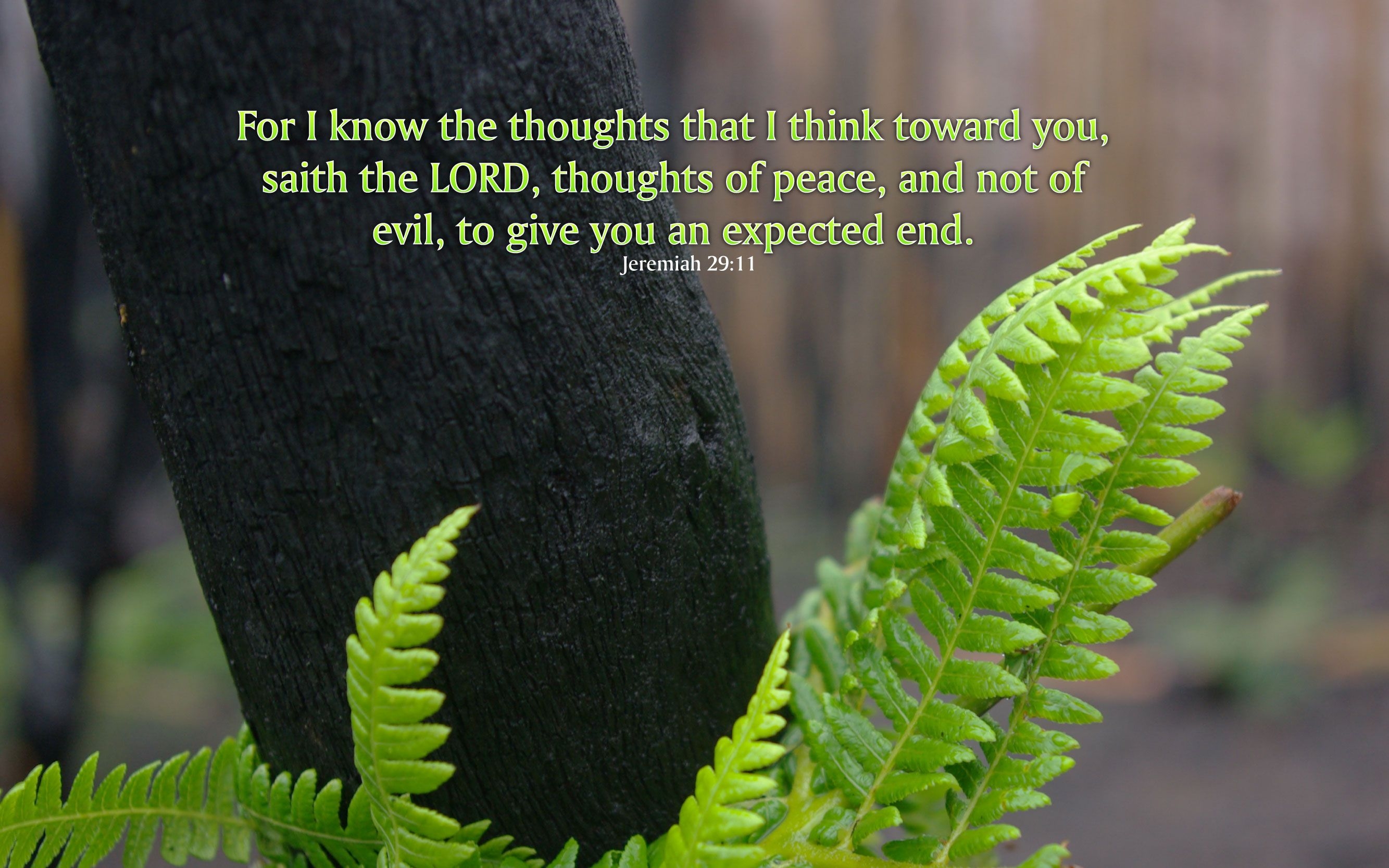 2670x1670 Jeremiah 29:11 Nature & Bible Desktop Background / Wallpaper, Desktop