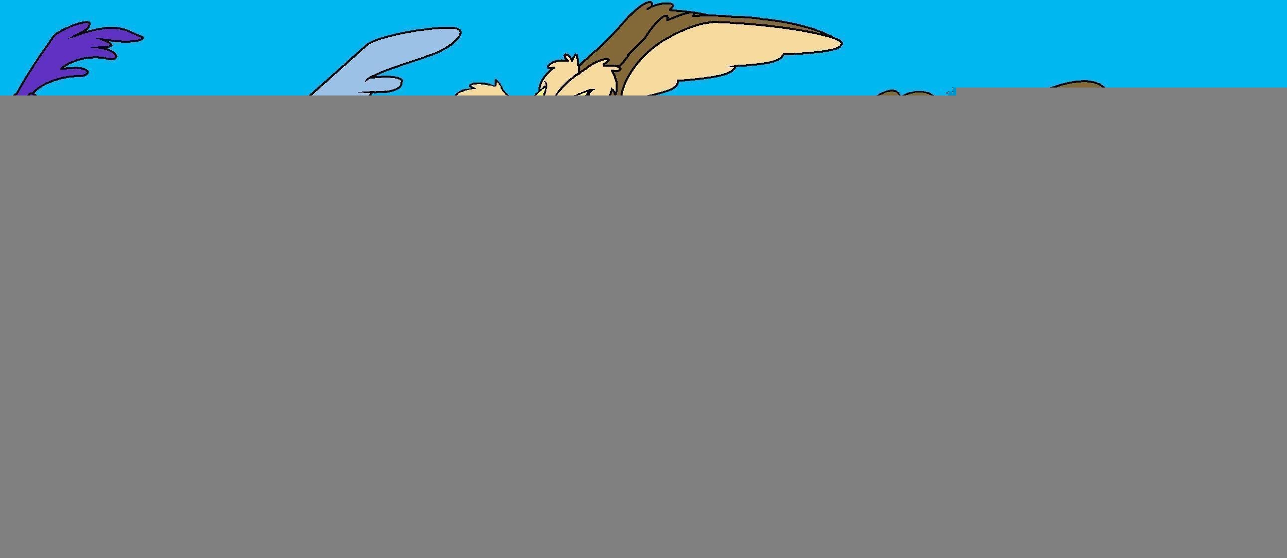 2590x1130 wile e coyote Computer Wallpaper, Desktop Backgroundx1122, Dual Screen