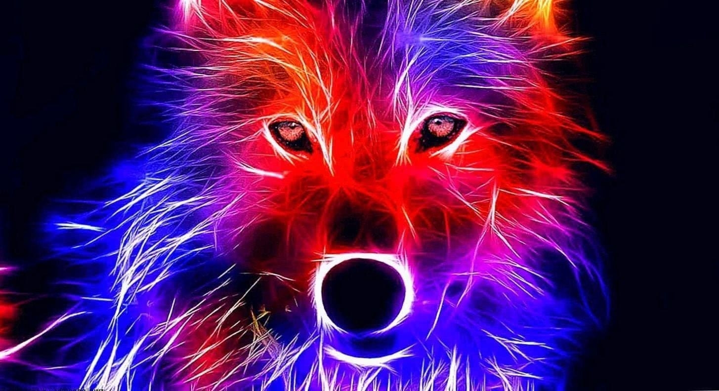 1460x800 Wolf Wallpaper Red, Desktop