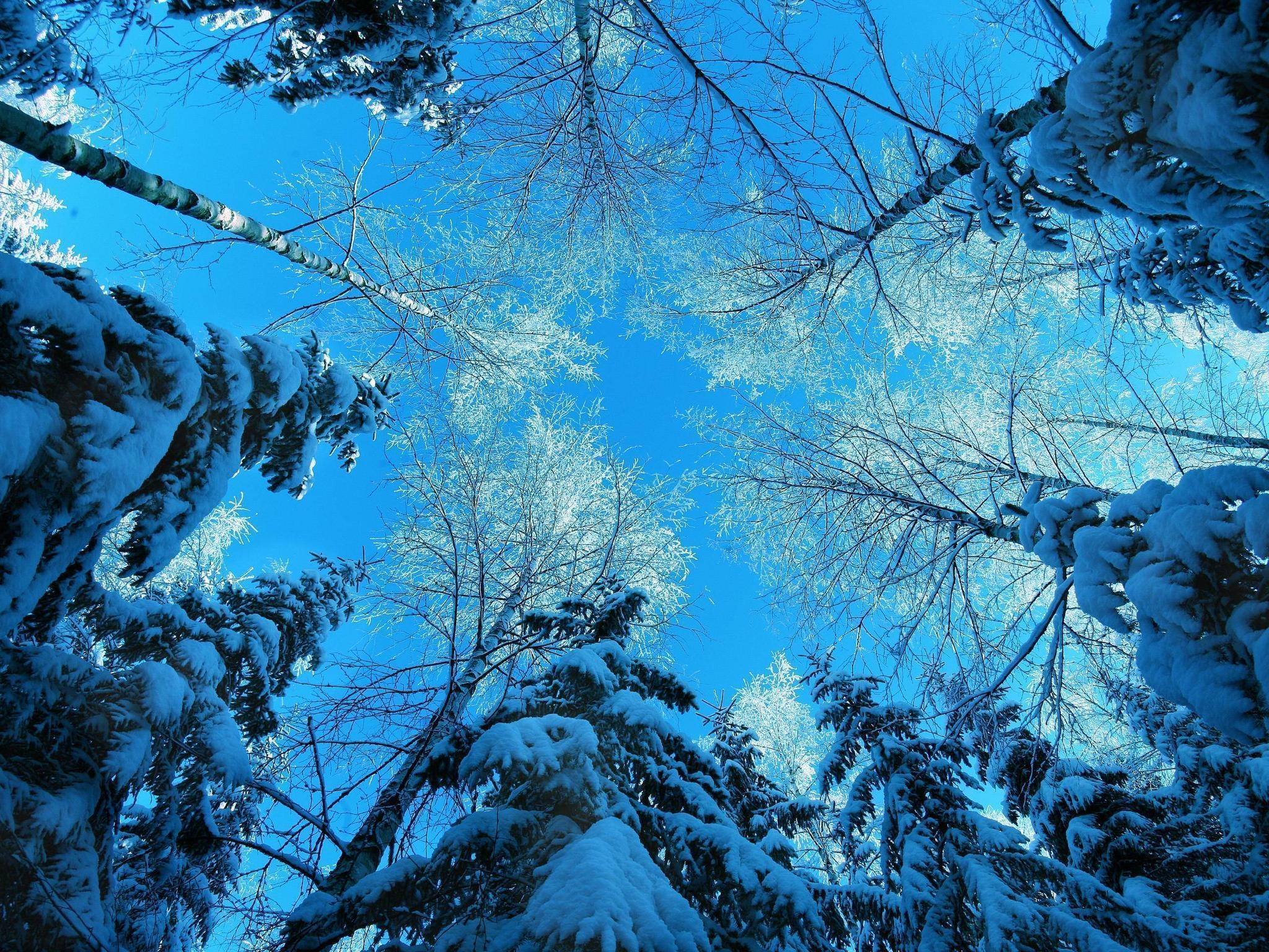 2050x1540 Winter Scenes for Desktop, Desktop