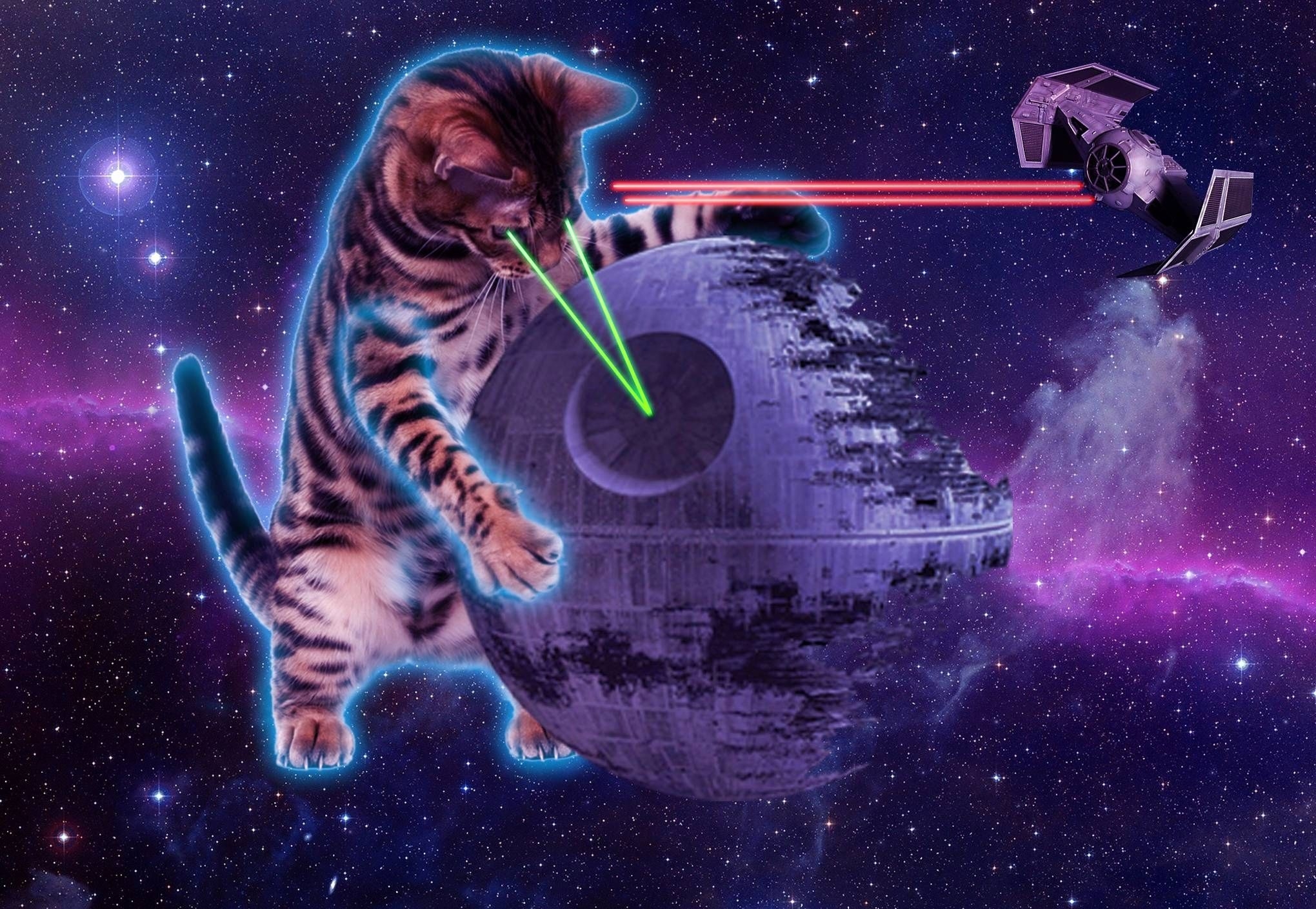 2040x1410 Best Of Space Laser Cat Wallpaper 2019, Desktop