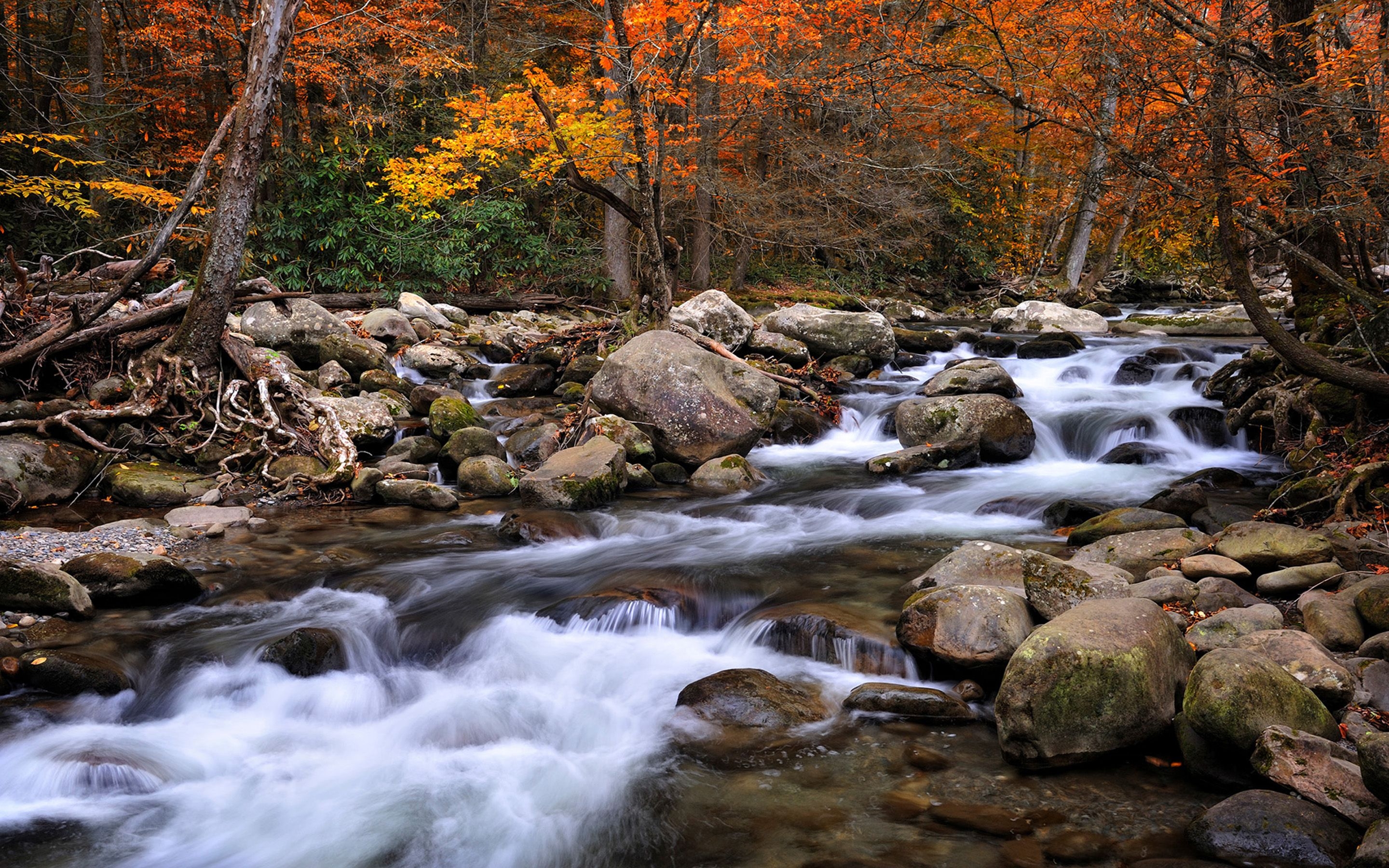 2880x1800 Beautiful National Parks In America Great Smoky Mountains National, Desktop