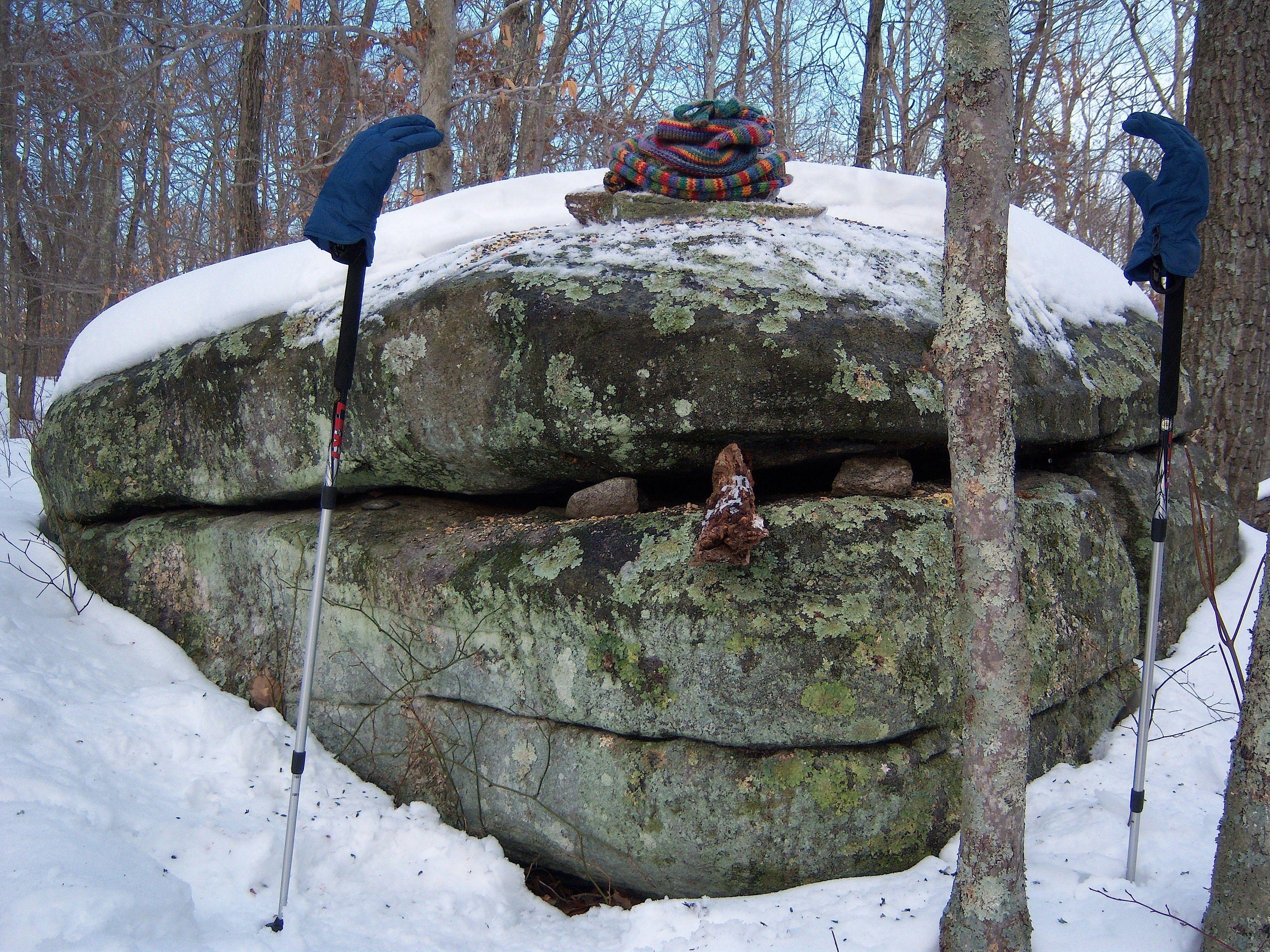 3650x2740 Forest: SAM Warm Winter Wear Chatfield Hollow Trails Boulders, Desktop