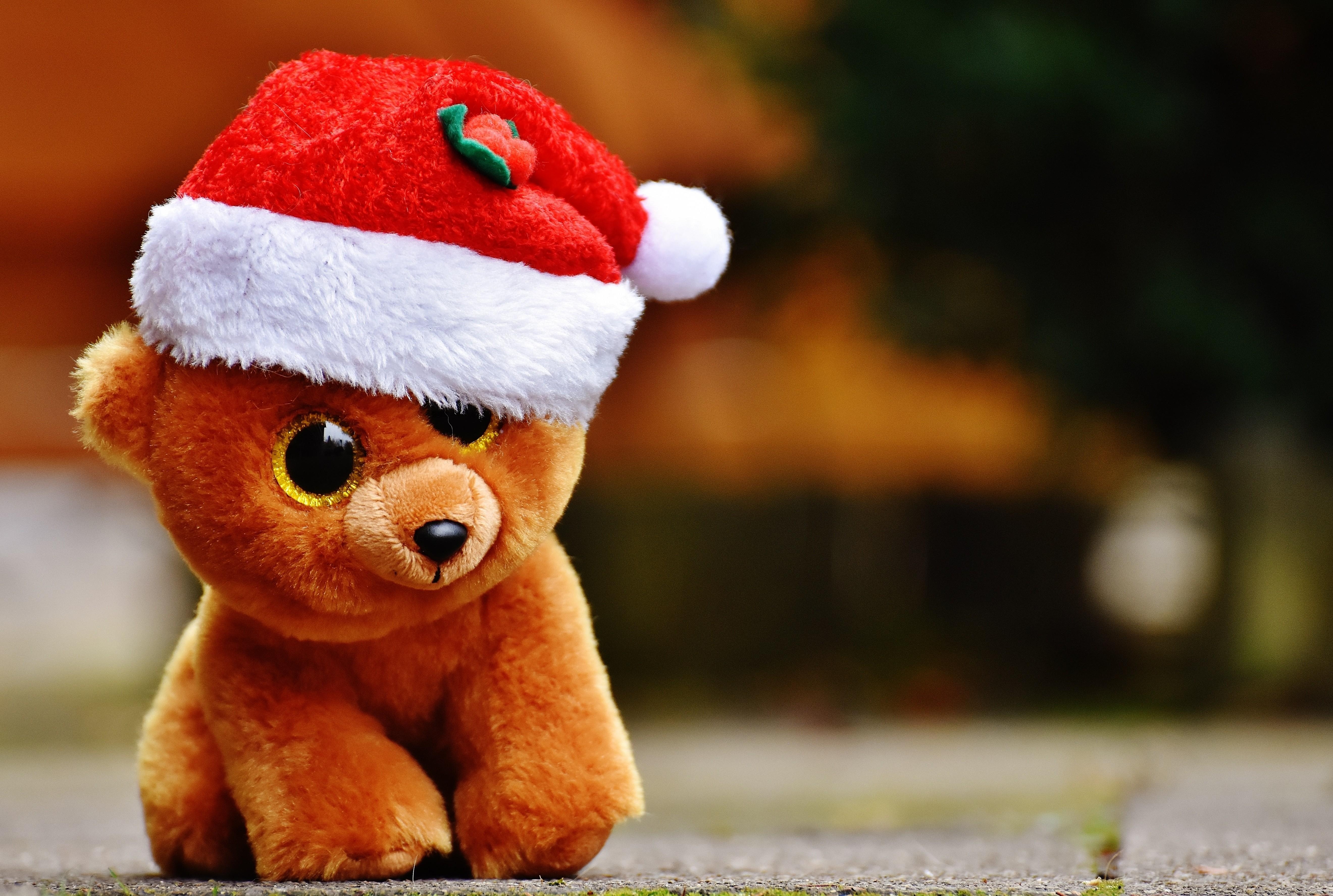 5280x3550 Download  Teddy Bear, Santa Hat, Toys Wallpaper, Desktop