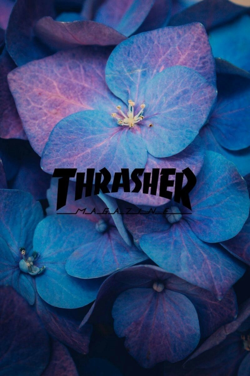 800x1200 Thrasher discovered, Phone