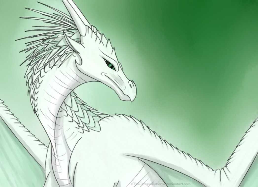 1050x770 Evergreen. Wings of fire dragons, Wings of fire, Dragon art, Desktop