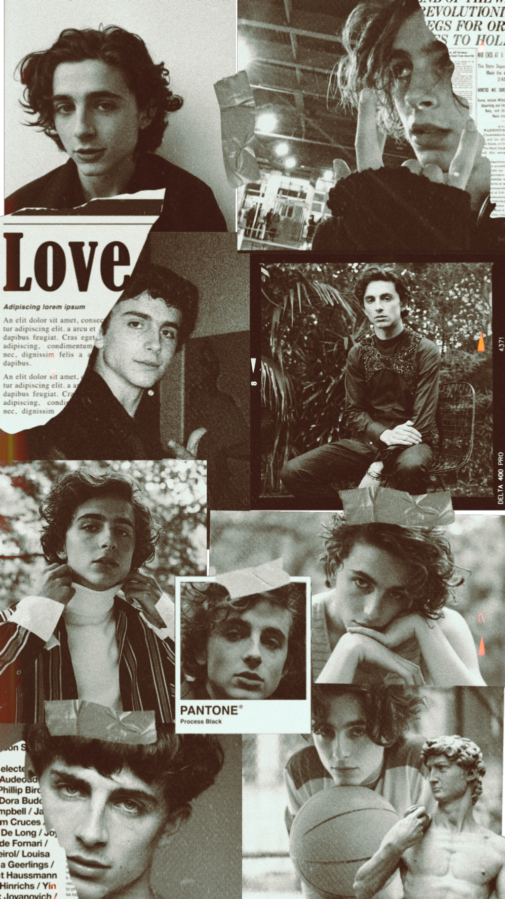 1000x1780 freetoedit #timotheechalamet #wallpaper. Timothee chalamet, Cute wallpaper, Wallpaper, Phone