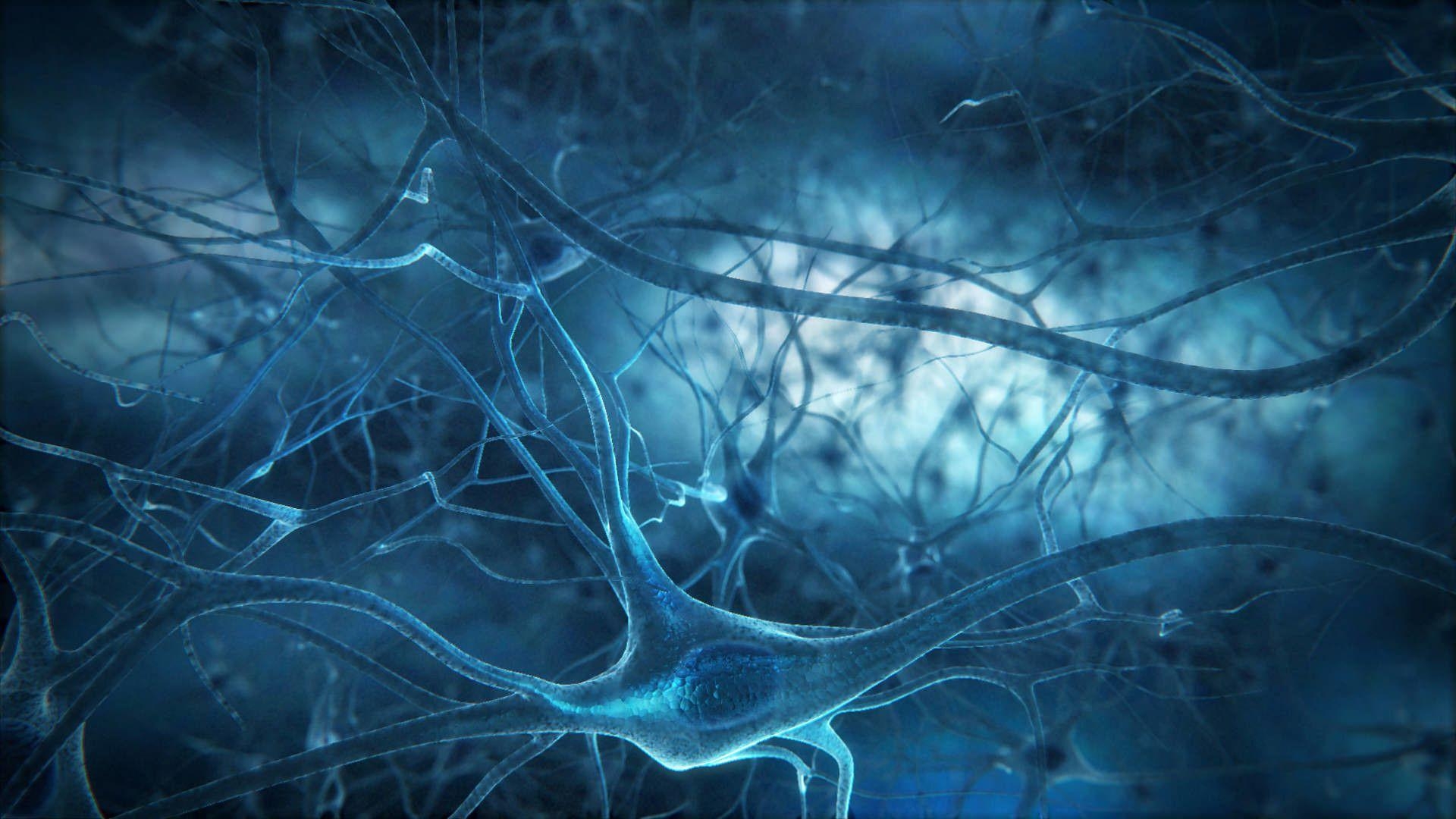 1920x1080 Neuron Wallpaper, Desktop